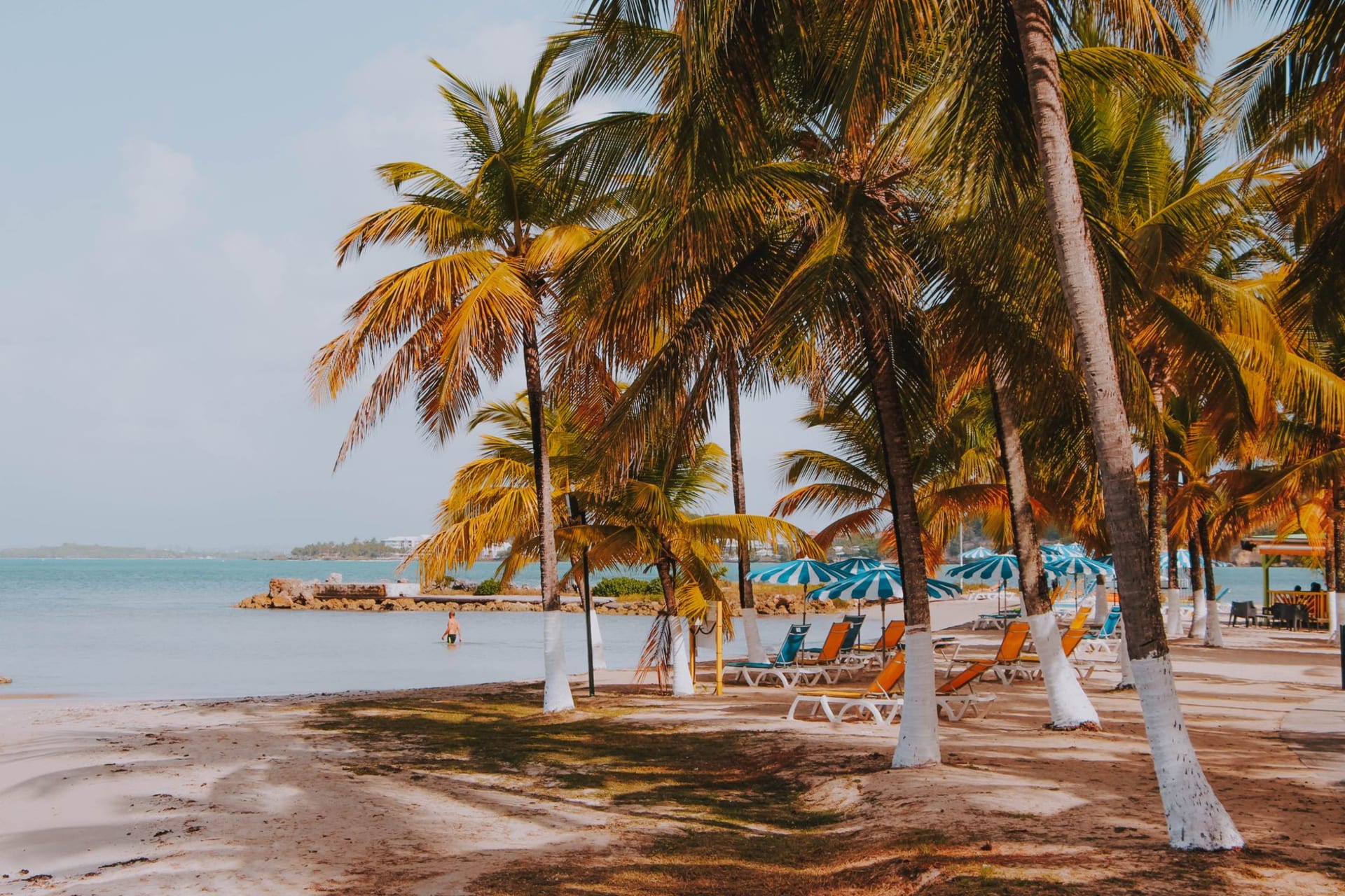A busy waterfront market scene in Pointe-à-Pitre with colorful vendor stalls, tropical fruit piled high, and a Caribbean sky above