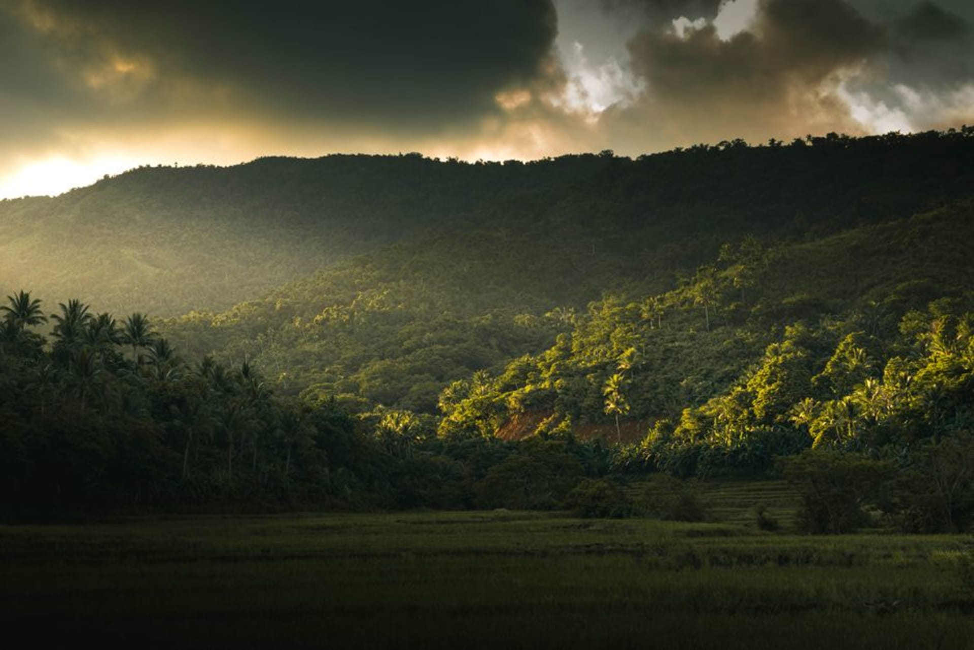 La vallée de la rivière Lanquín à l'heure dorée avec des collines couvertes de jungle