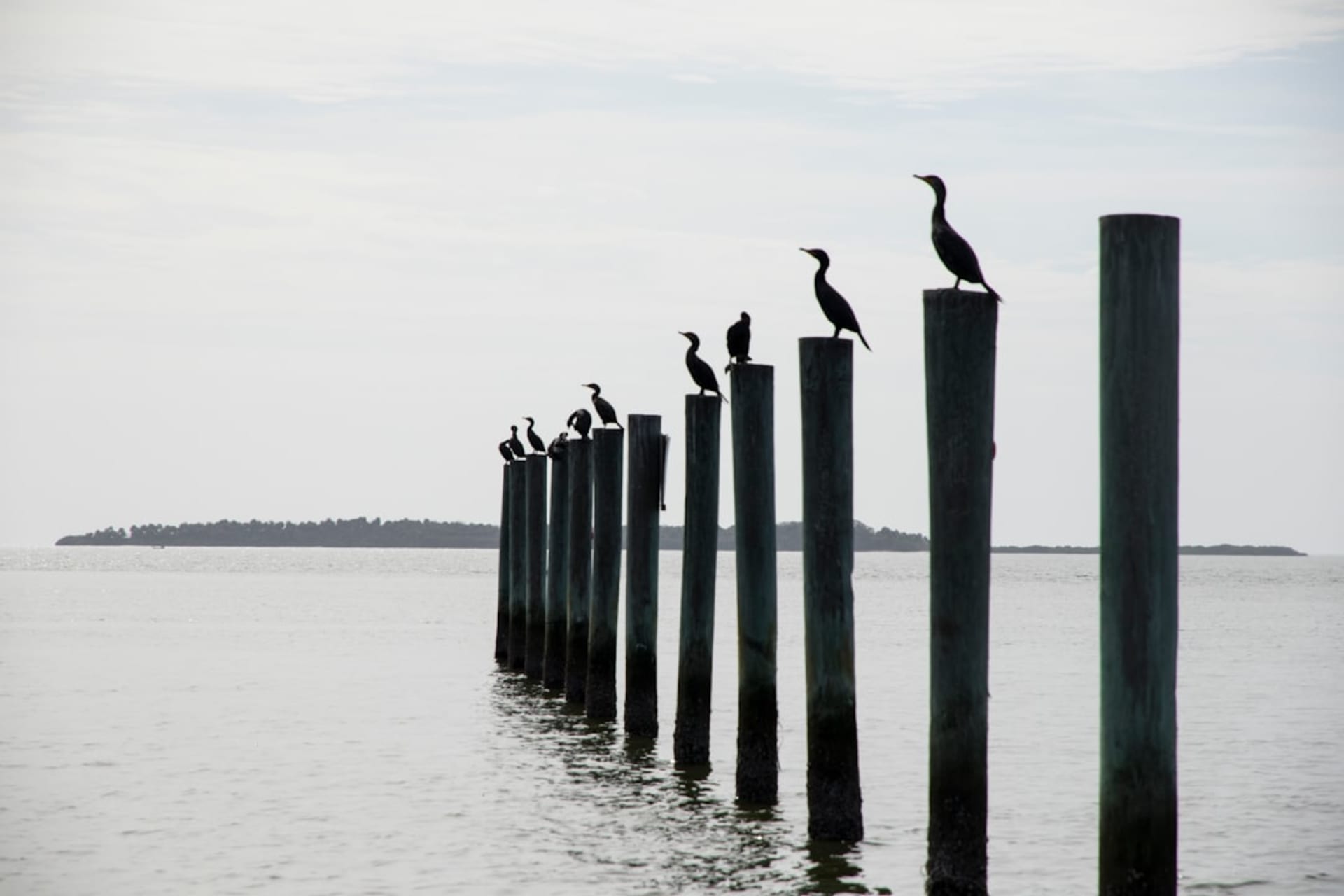 Muelle de madera desgastado que se adentra en las aguas tranquilas de Cedar Key al atardecer