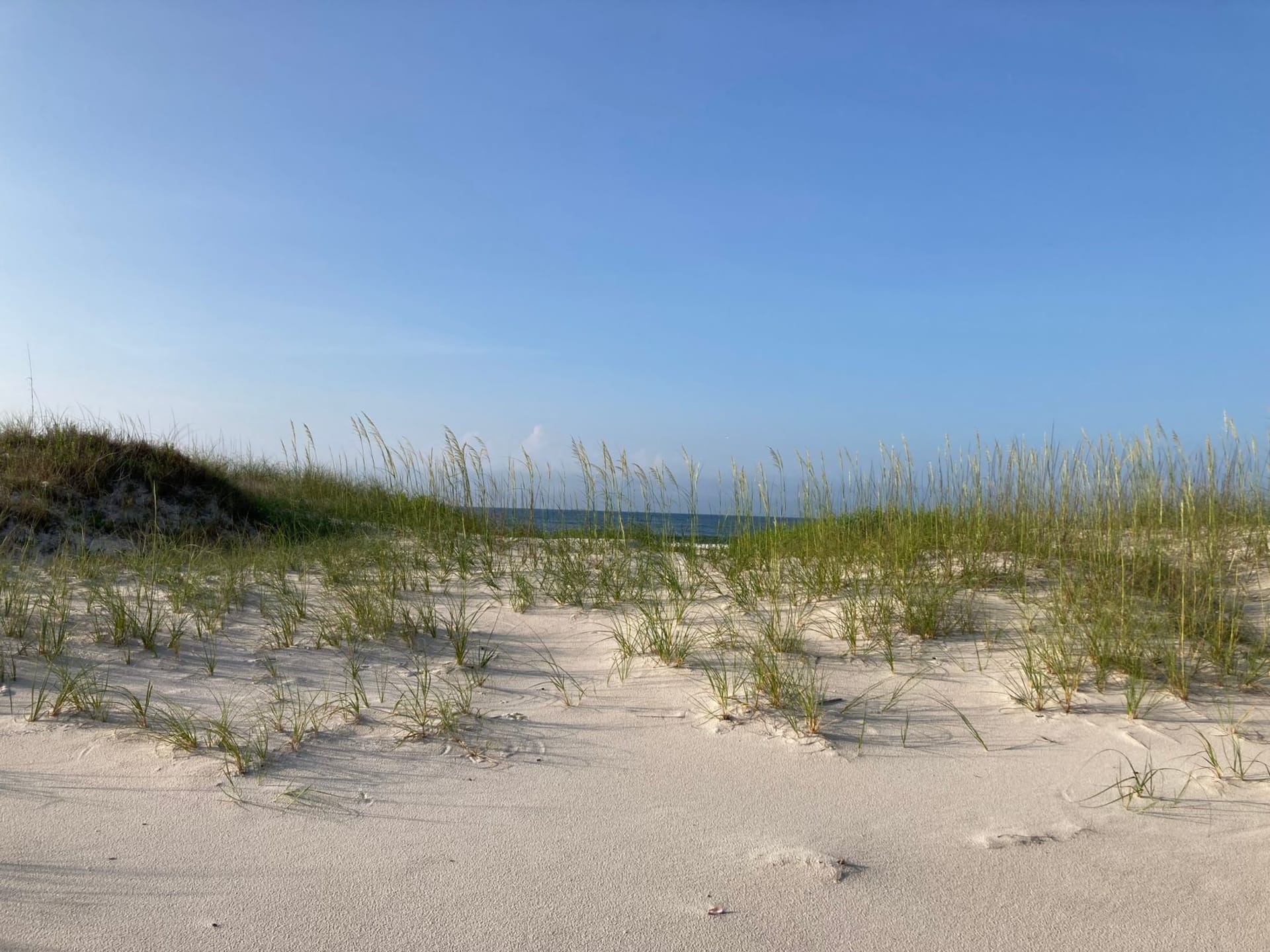 A quiet white-sand beach on Dauphin Island, Alabama, with sea oats waving on low dunes and the flat Gulf of Mexico stretching to a hazy horizon