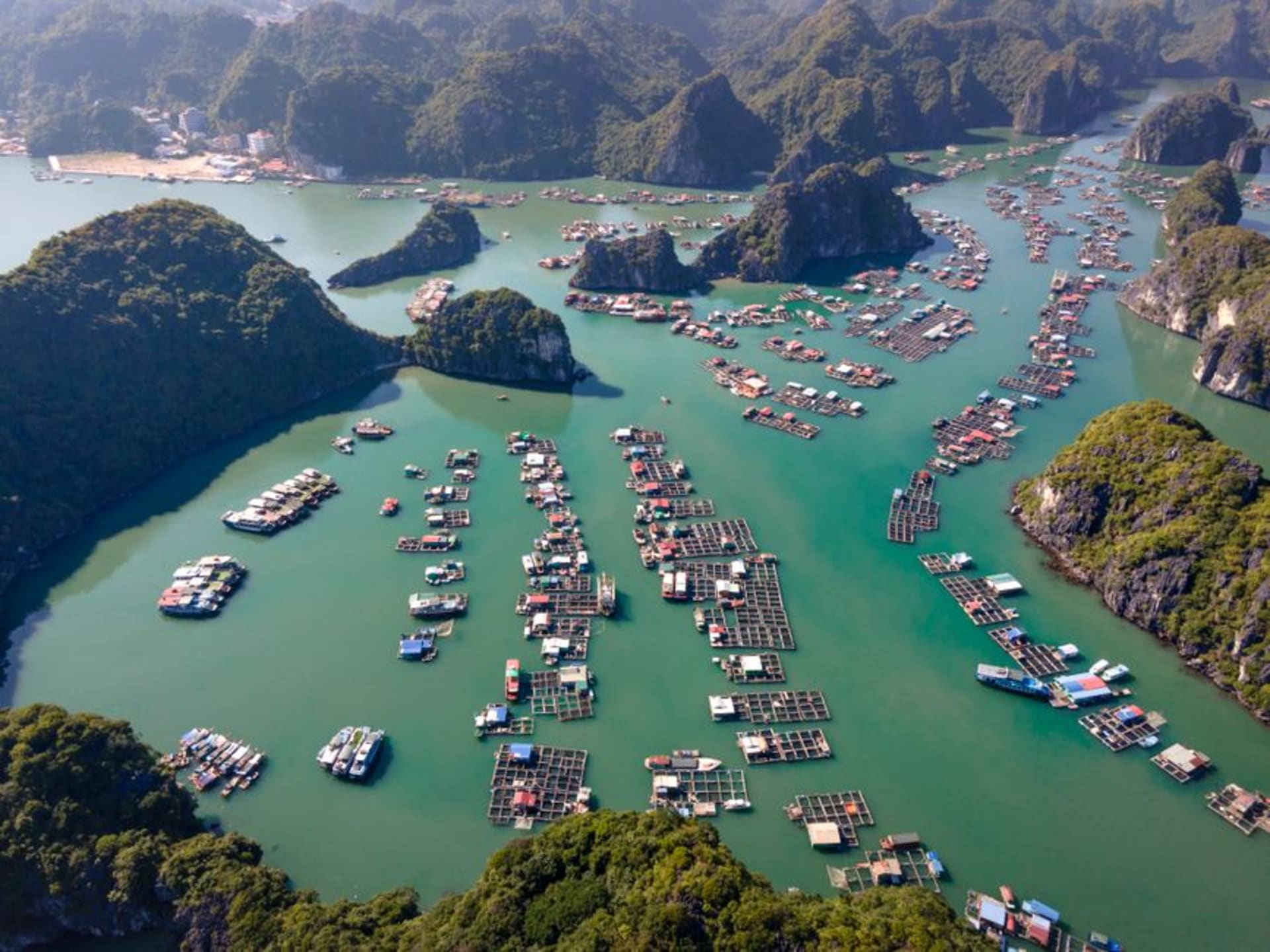 Stilted wooden houses of Ba Hang floating village sitting in a calm lagoon surrounded by limestone karsts