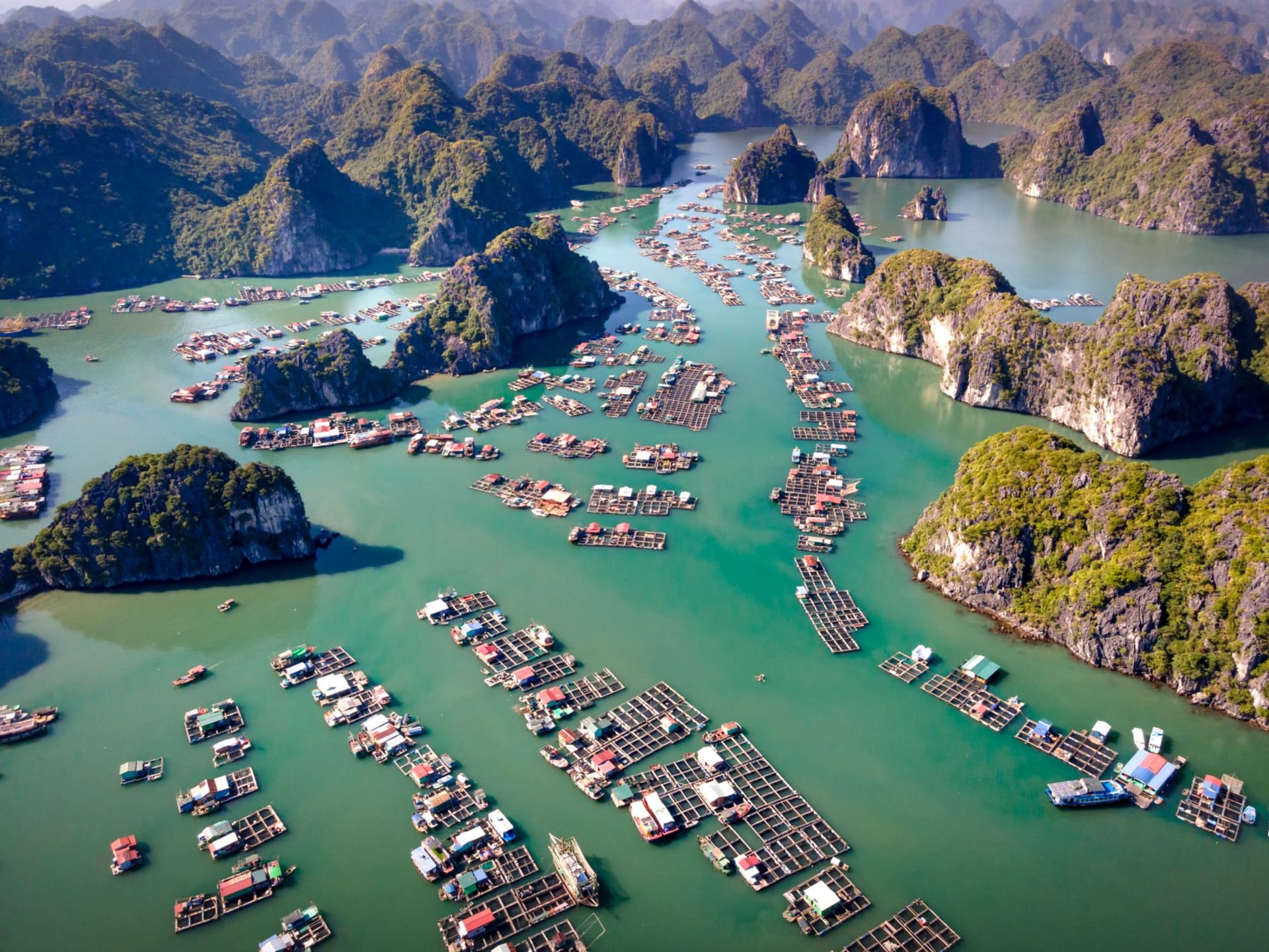 Vung Vieng floating village at dawn with pearl farming cages visible beneath the clear water and morning mist on the limestone hills behind