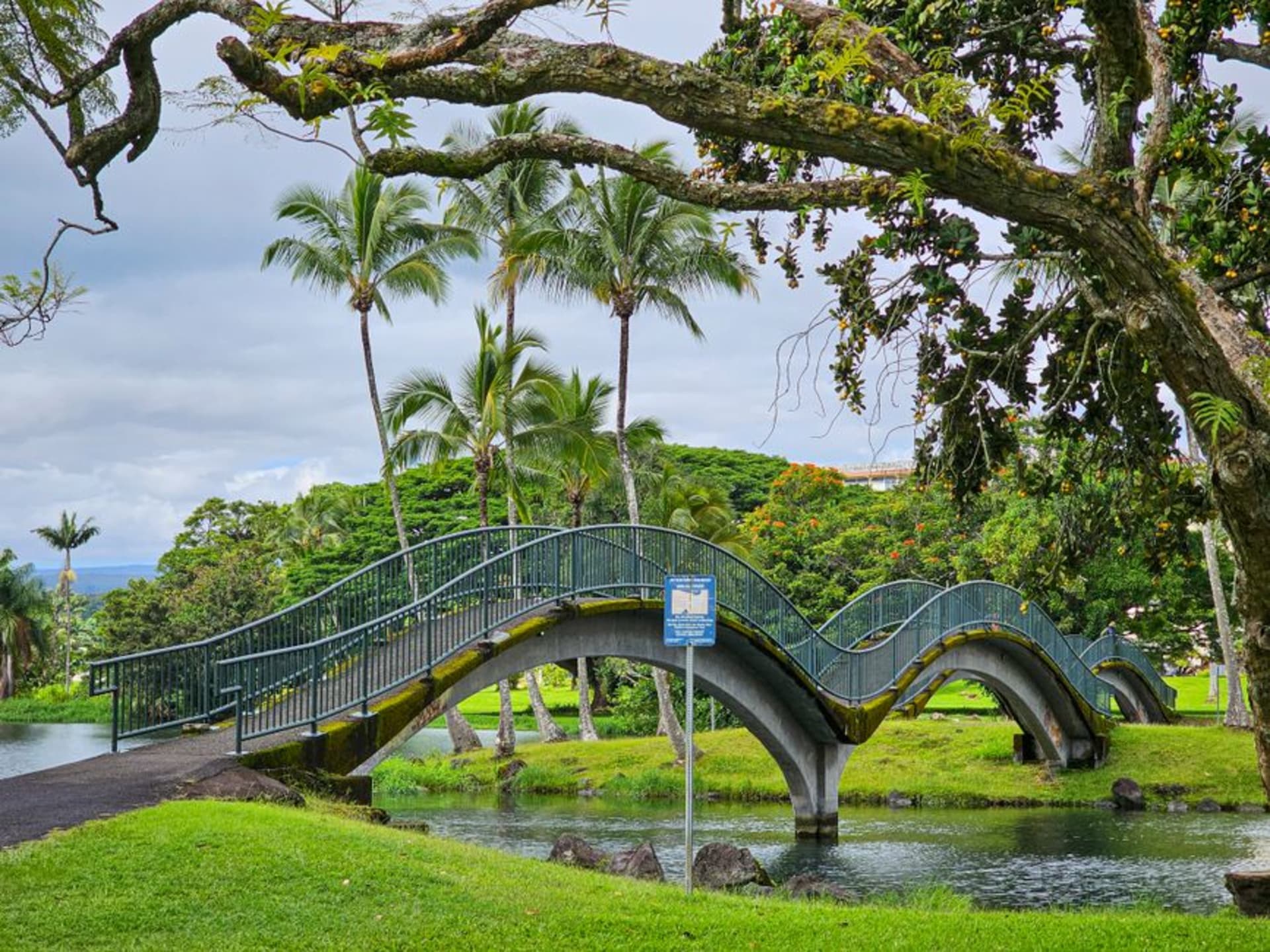 Place de Dole Park à Lanai City bordée de hauts pins de Norfolk et de devantures colorées de l'ère des plantations