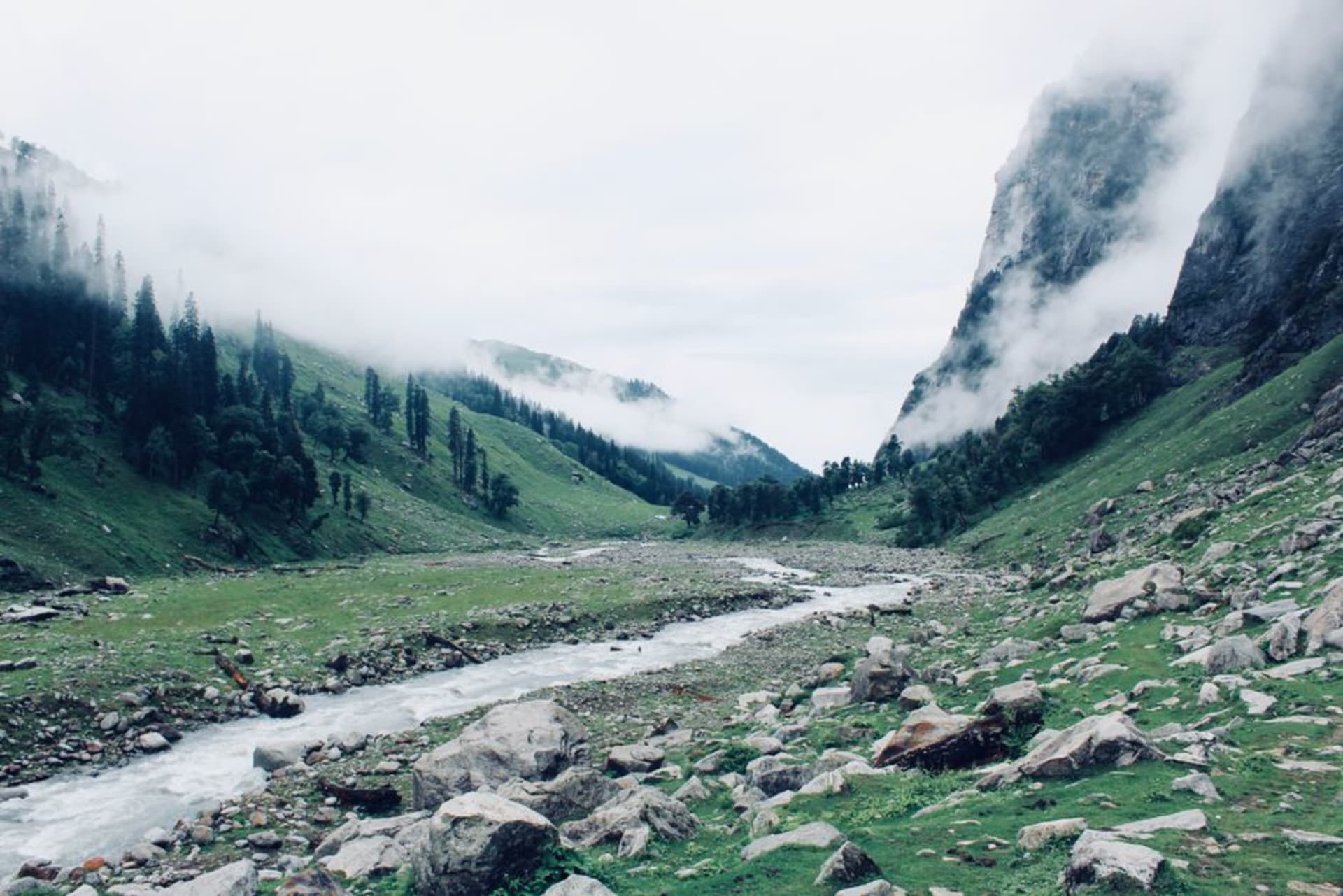 The Uhl River flowing through Barot Valley surrounded by pine and deodar forest