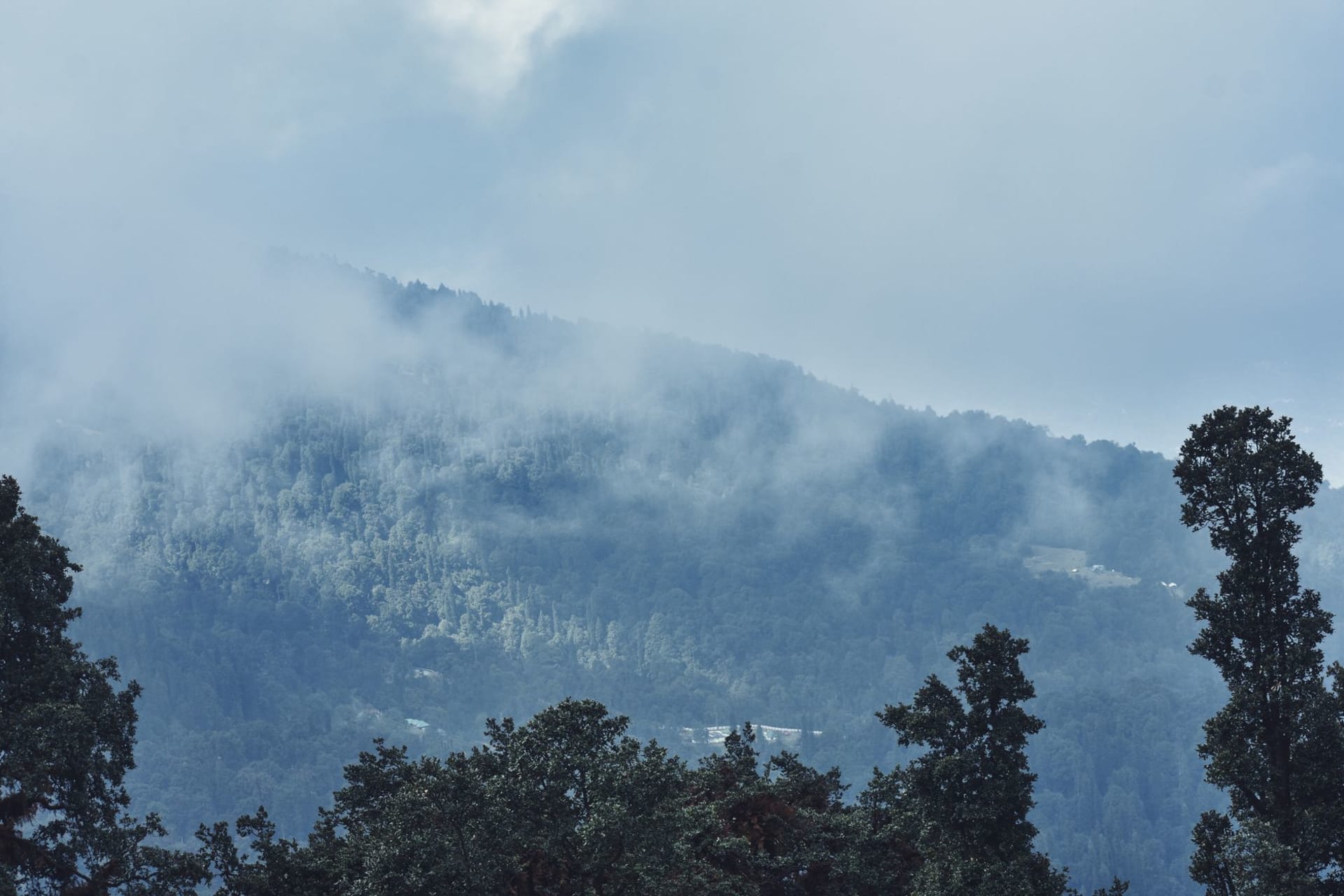 Old Manali village wooden houses and apple orchards with snow-capped peaks rising above the Beas River valley at dawn