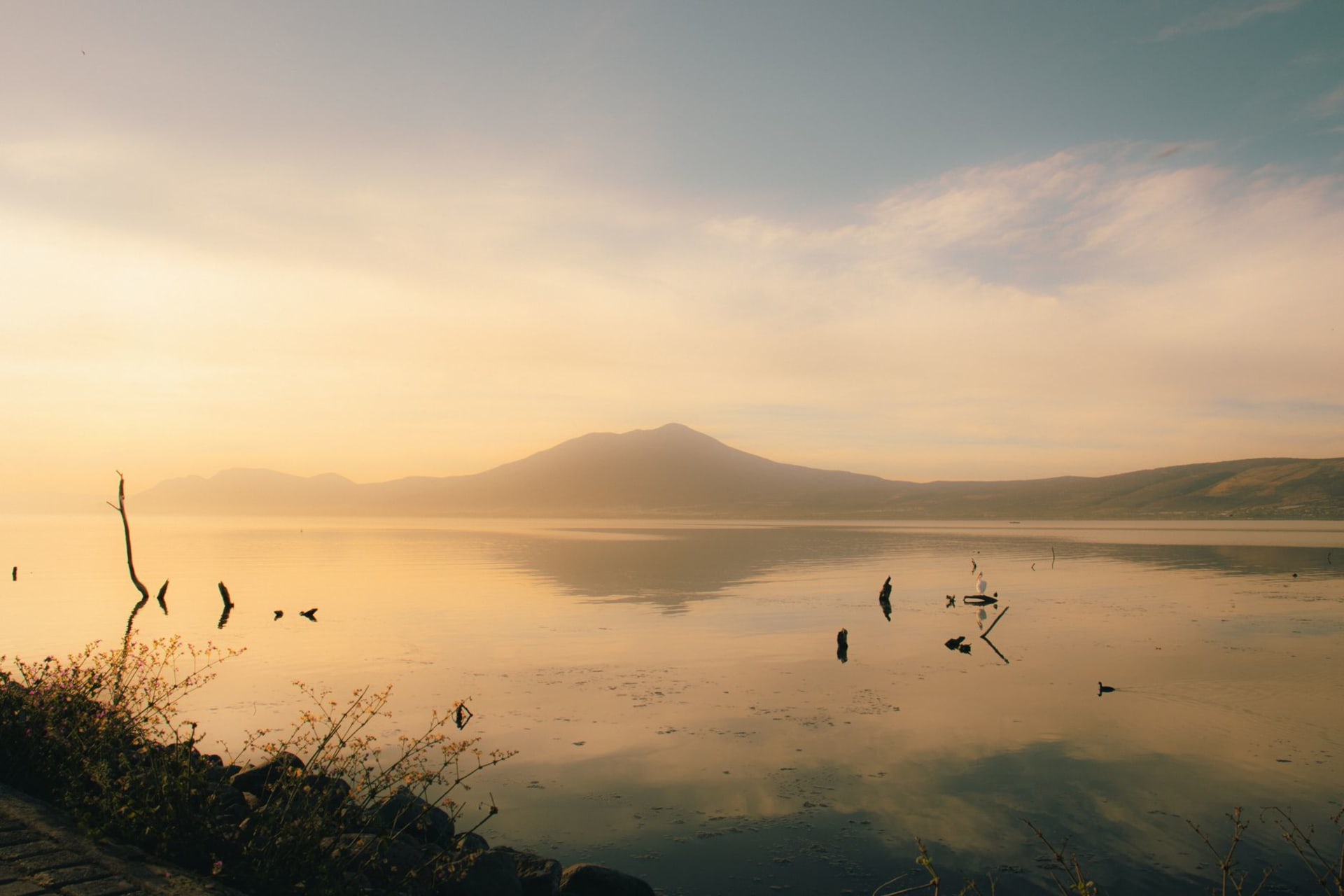 A mirror-still lake at dawn reflecting forested volcanic mountains with egrets wading in the shallows