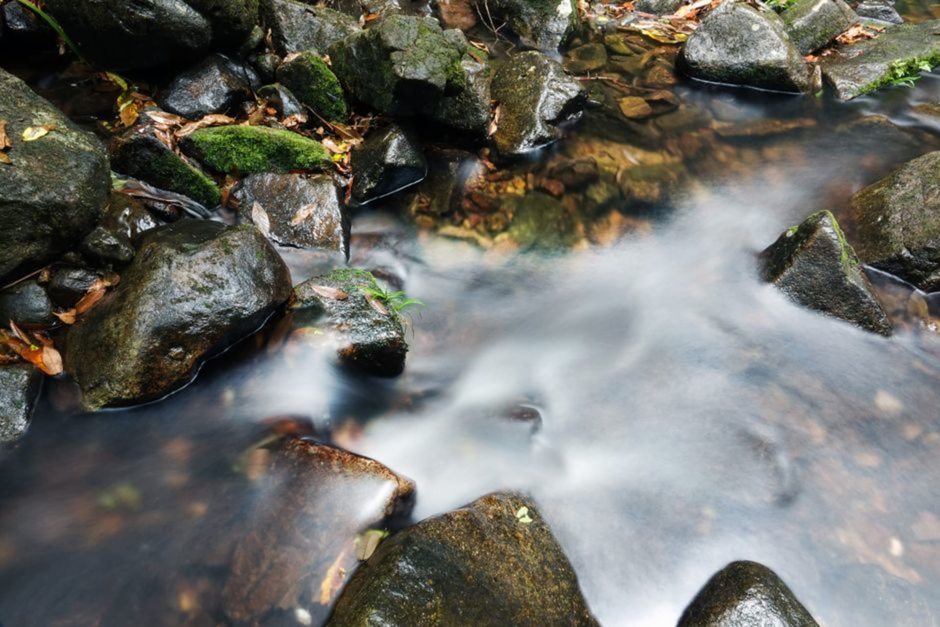 Agua cayendo sobre roca cubierta de musgo en una de las cascadas de Ng Tung Chai, rodeada de bosque verde denso