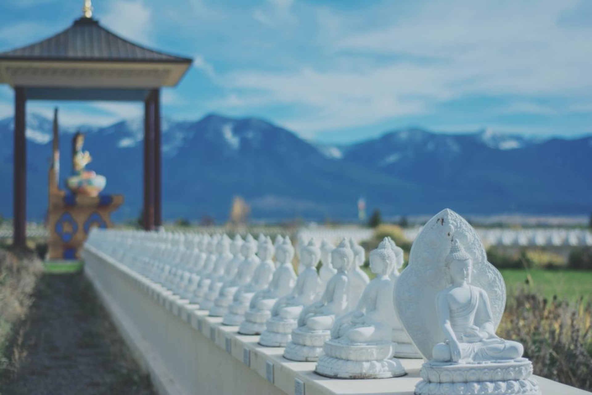 Un long escalier bordé de centaines de statues d'arhats dorés grandeur nature, menant à travers une colline boisée jusqu'au monastère
