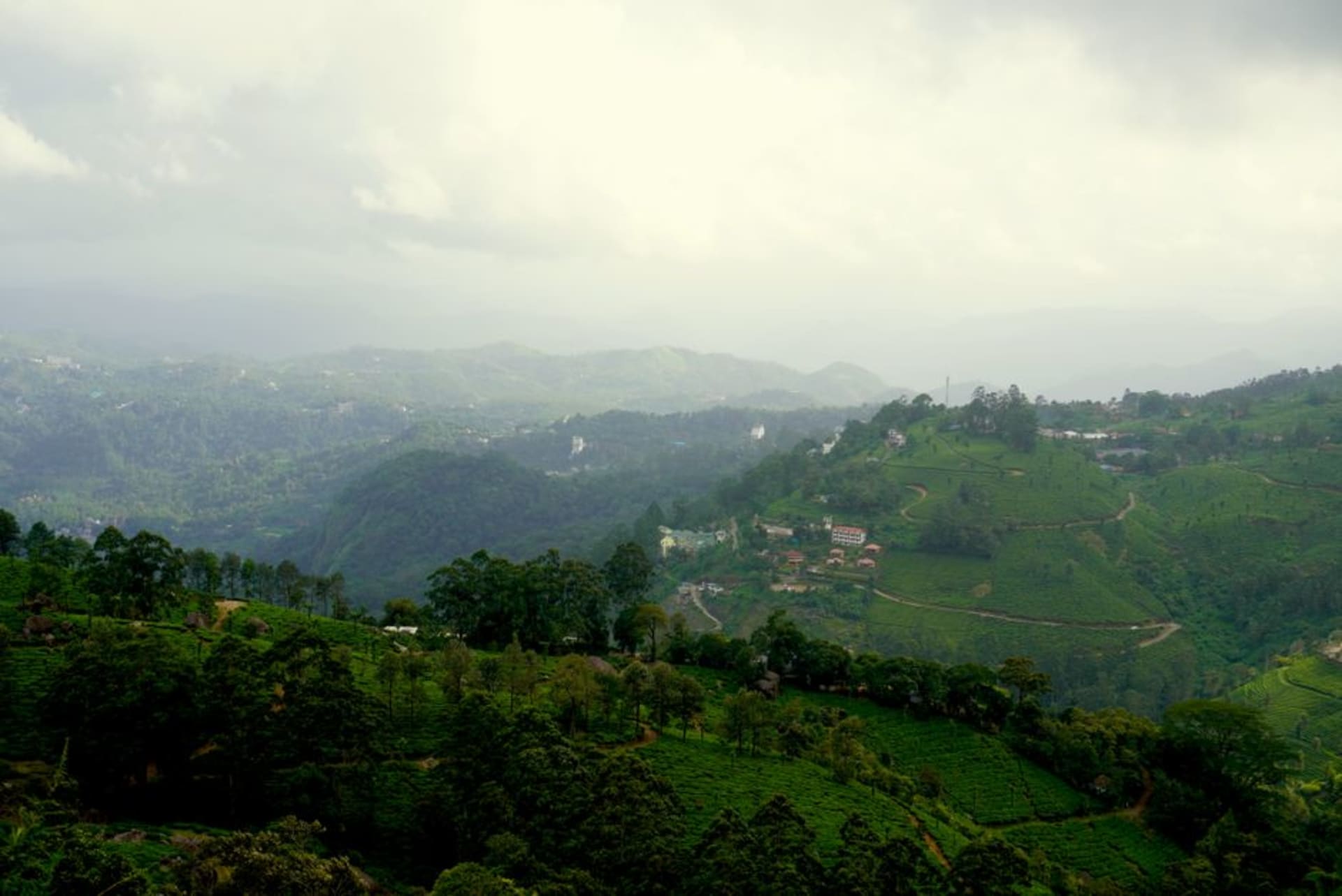 Coffee estate terraces climbing a misty hillside toward Mullayanagiri peak in the Western Ghats