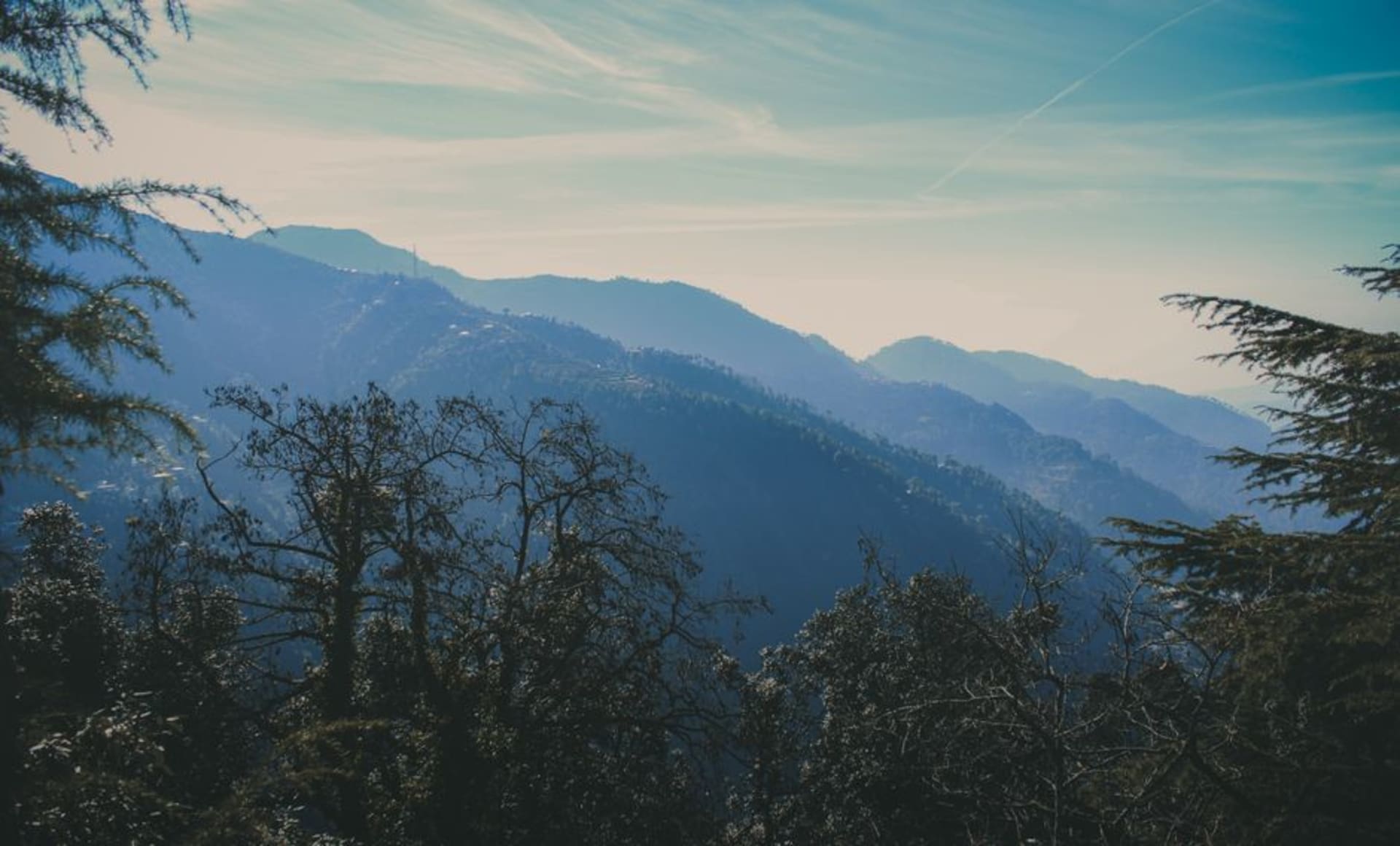 Colonial-era bungalows among pine and deodar forest on the hillsides of Dalhousie