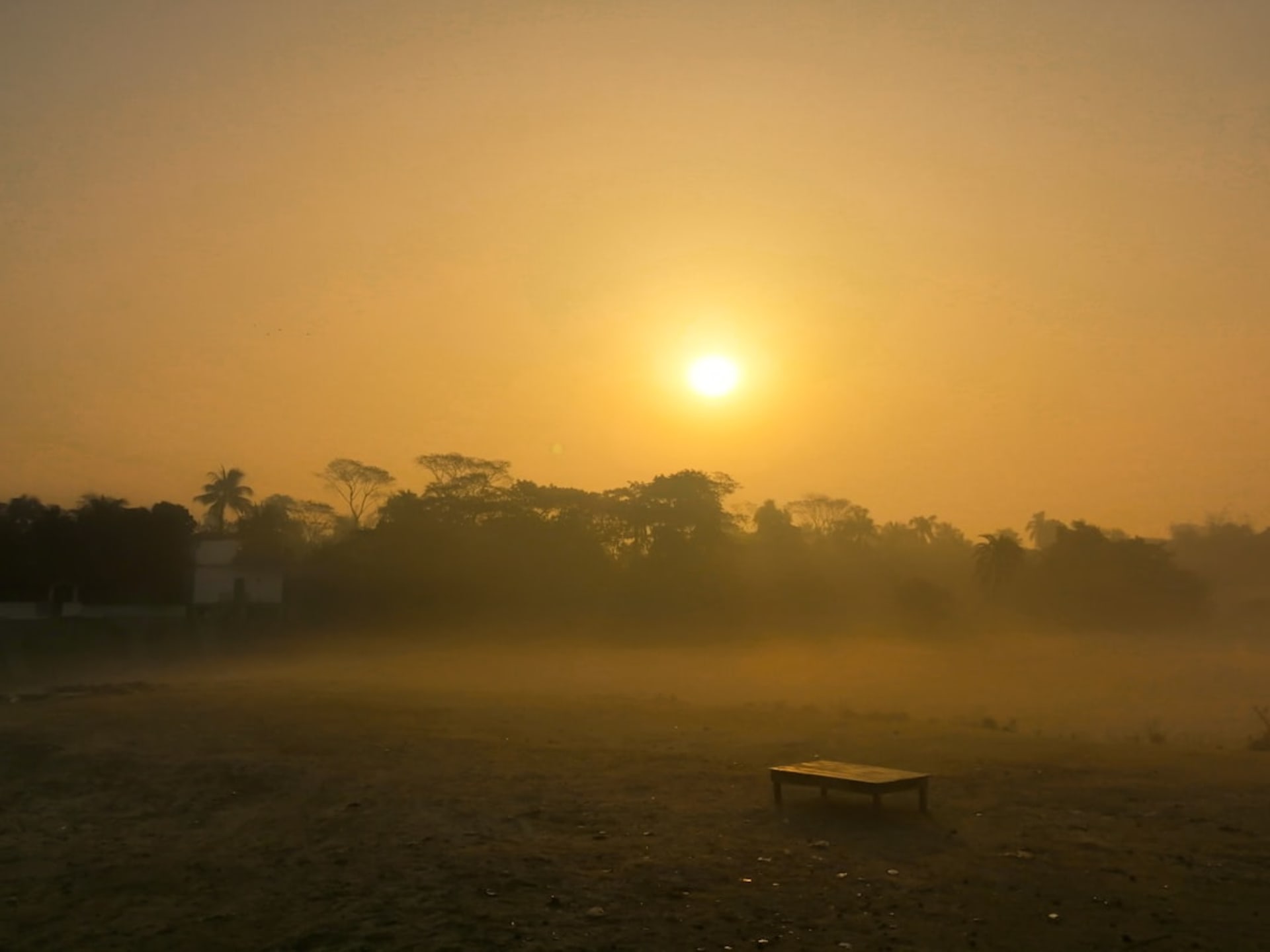 Mist rising over the sal forest and grassy meadows of Kanha National Park at sunrise