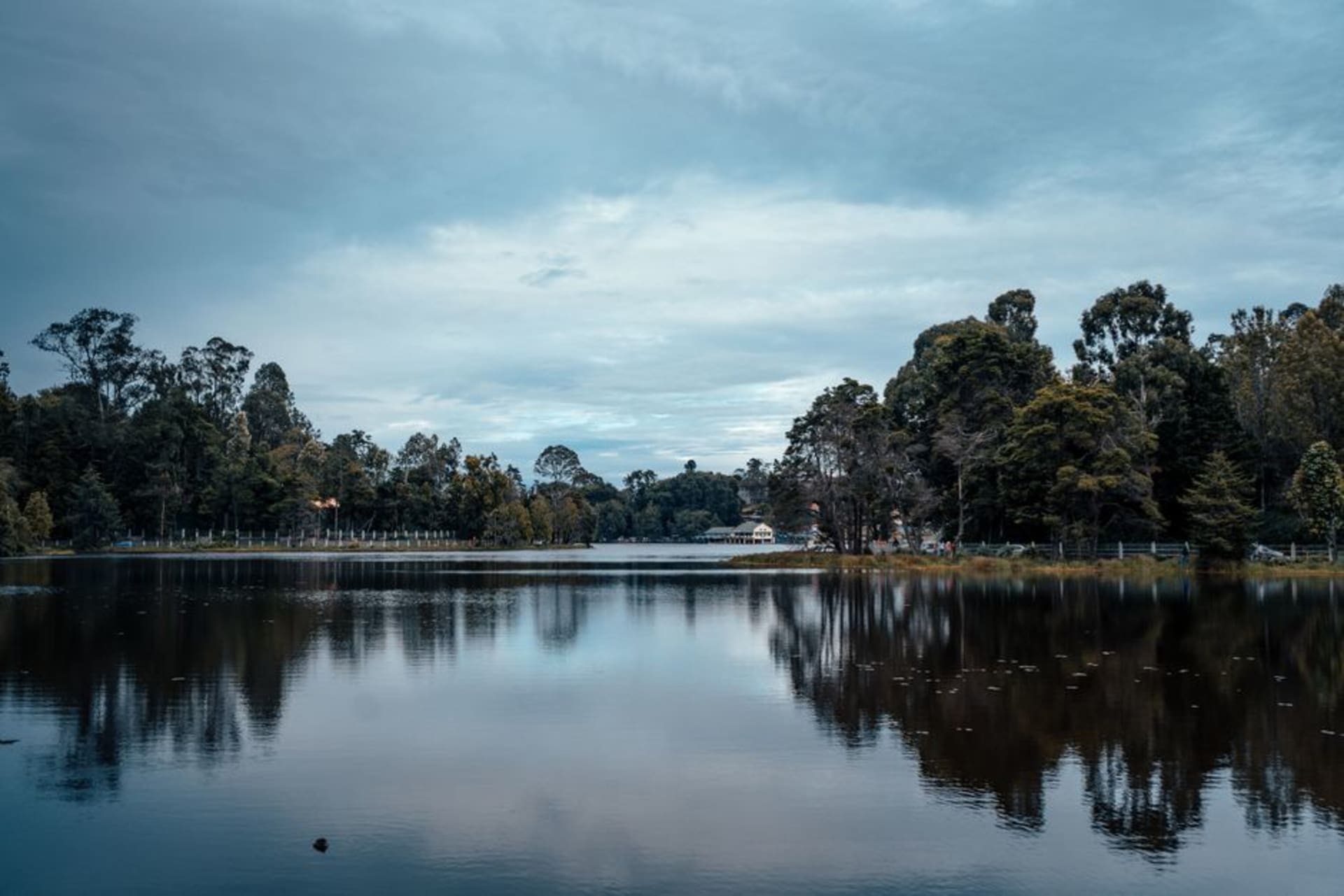 Mist rolling over pine forest and the star-shaped Kodaikanal Lake in the Palani Hills at dawn