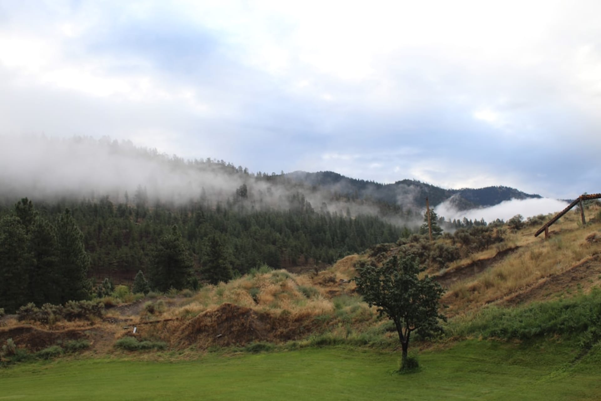 Rolling green tea plantations carpeting the hills of Munnar under a low morning mist