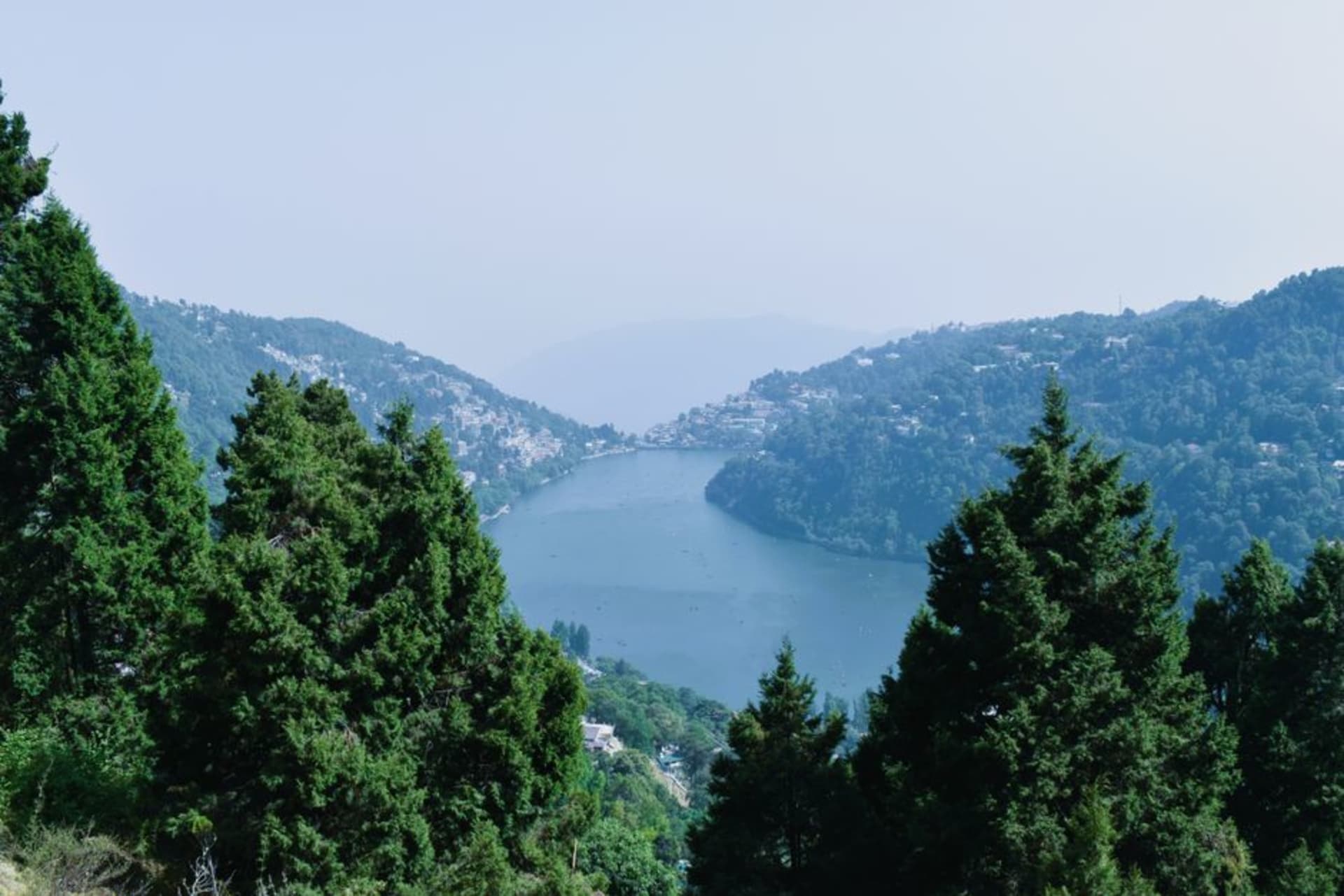 Naini Lake surrounded by forested hills with the town of Nainital along its shore
