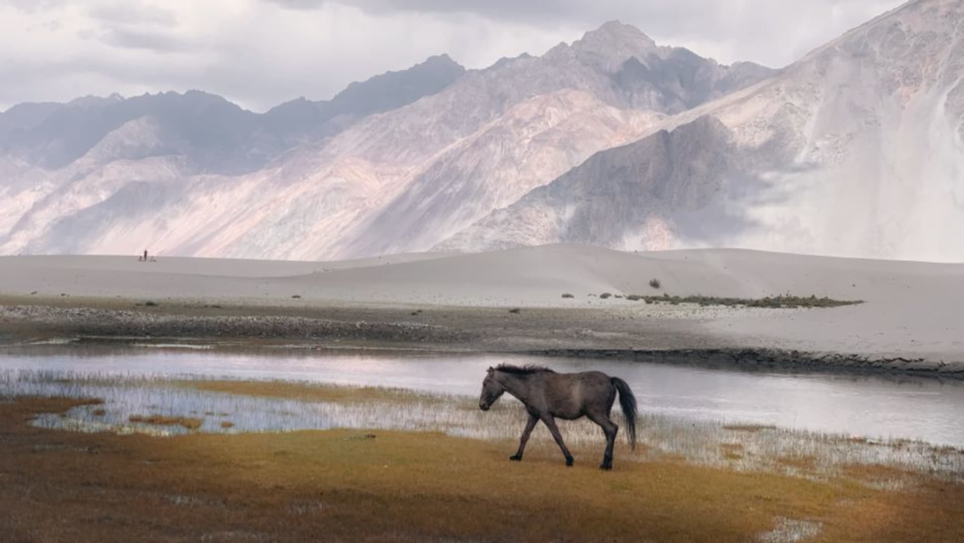 Sand dunes at Hunder with snow-capped mountains rising behind them in Nubra Valley