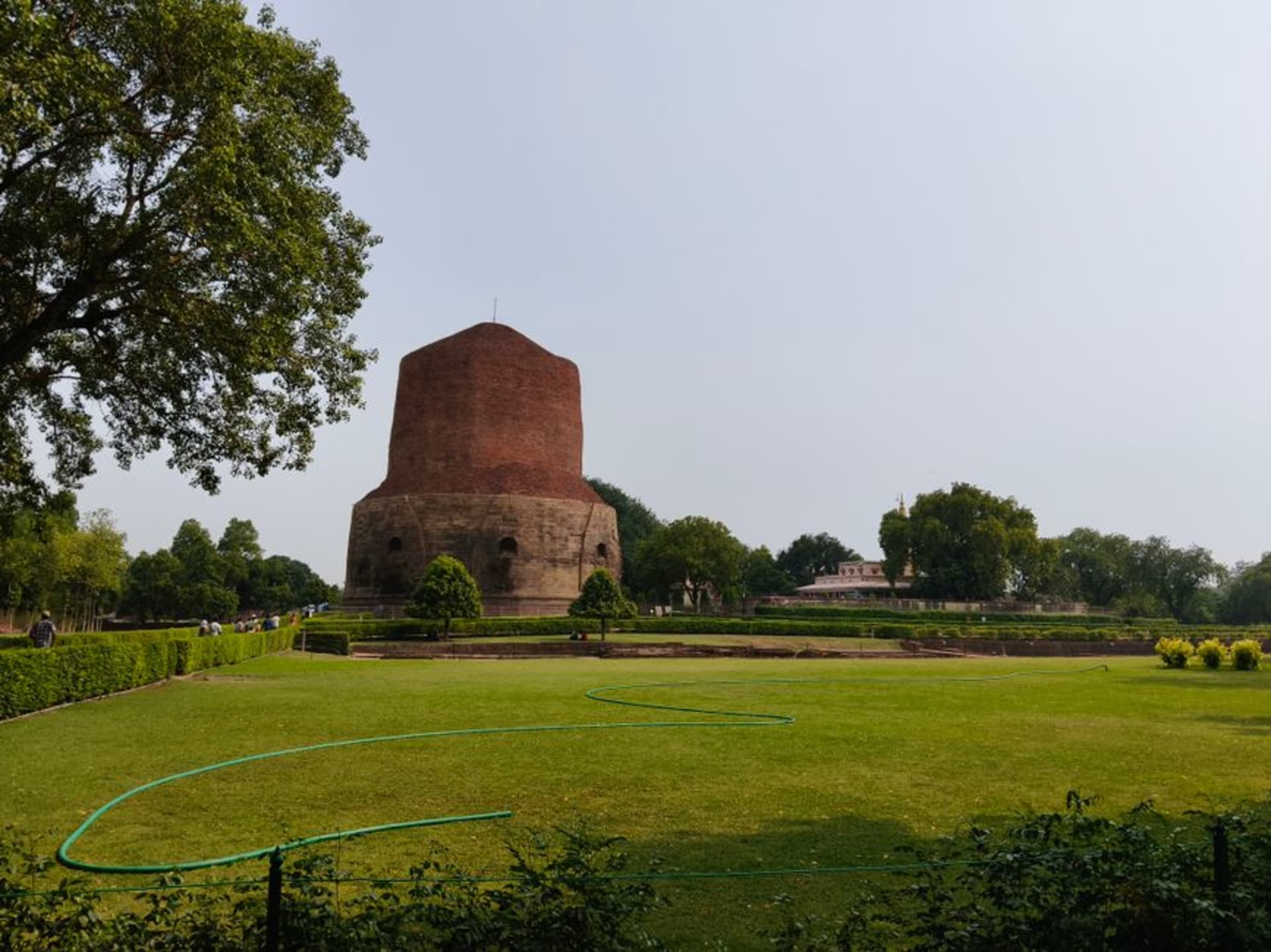 The great Dhamek Stupa at Sarnath rising in weathered brick and stone amid green lawns at dusk