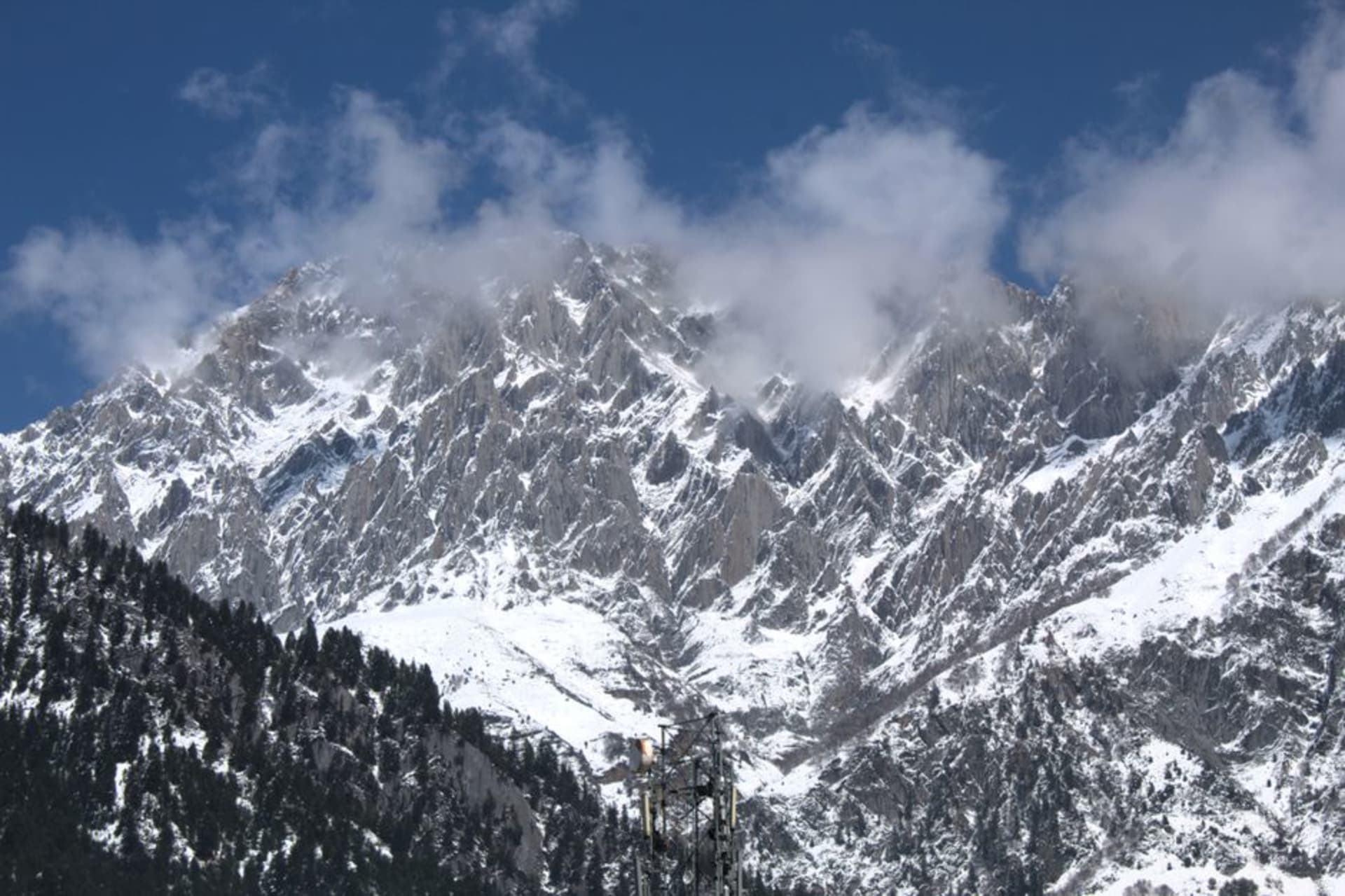 Golden alpine meadow at Sonmarg with snow-capped peaks behind