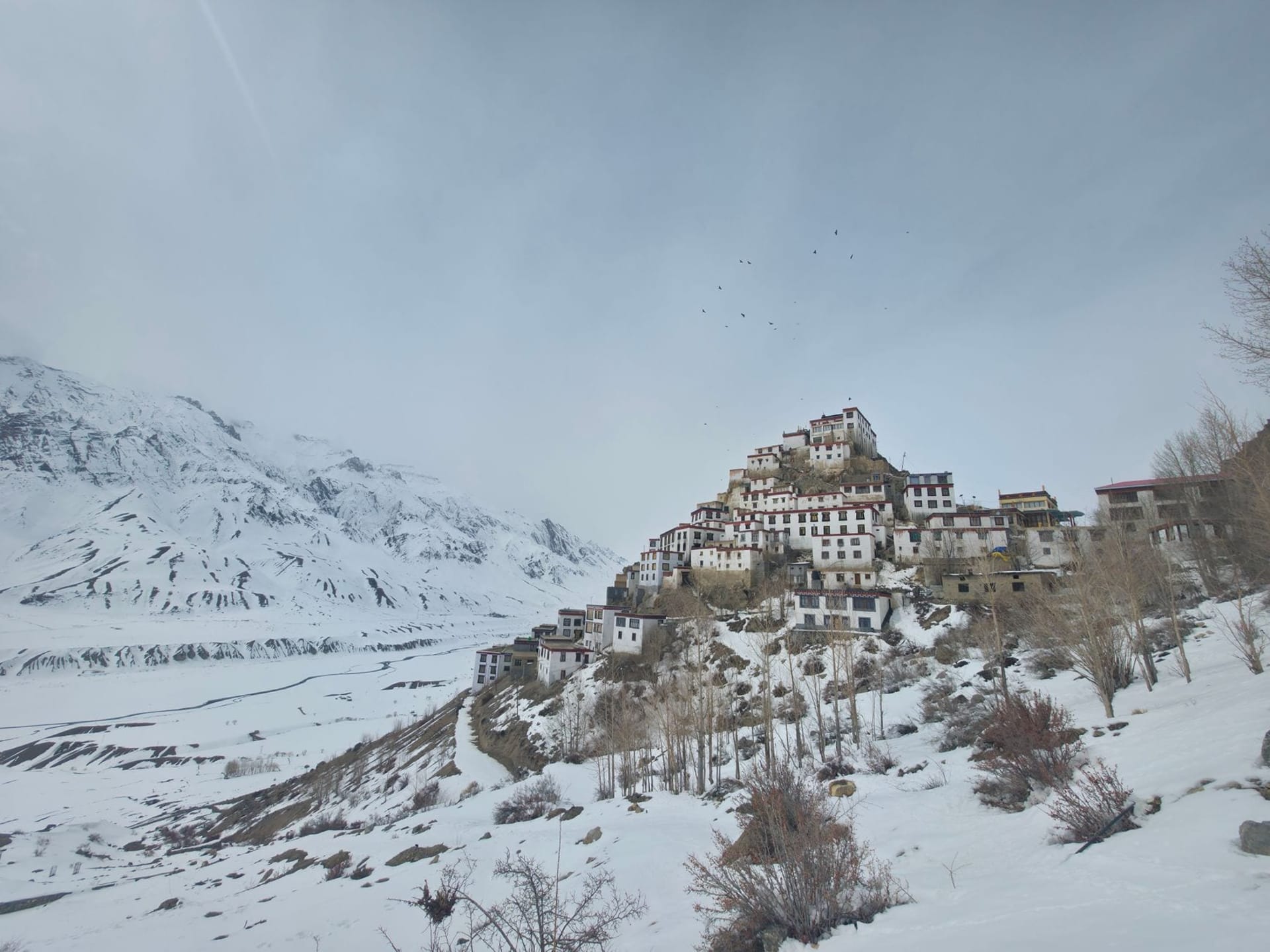 A white-plastered Buddhist monastery clings to a vertical ochre cliff above the Spiti River, surrounded by bare brown mountains and a pale high-altitude sky.