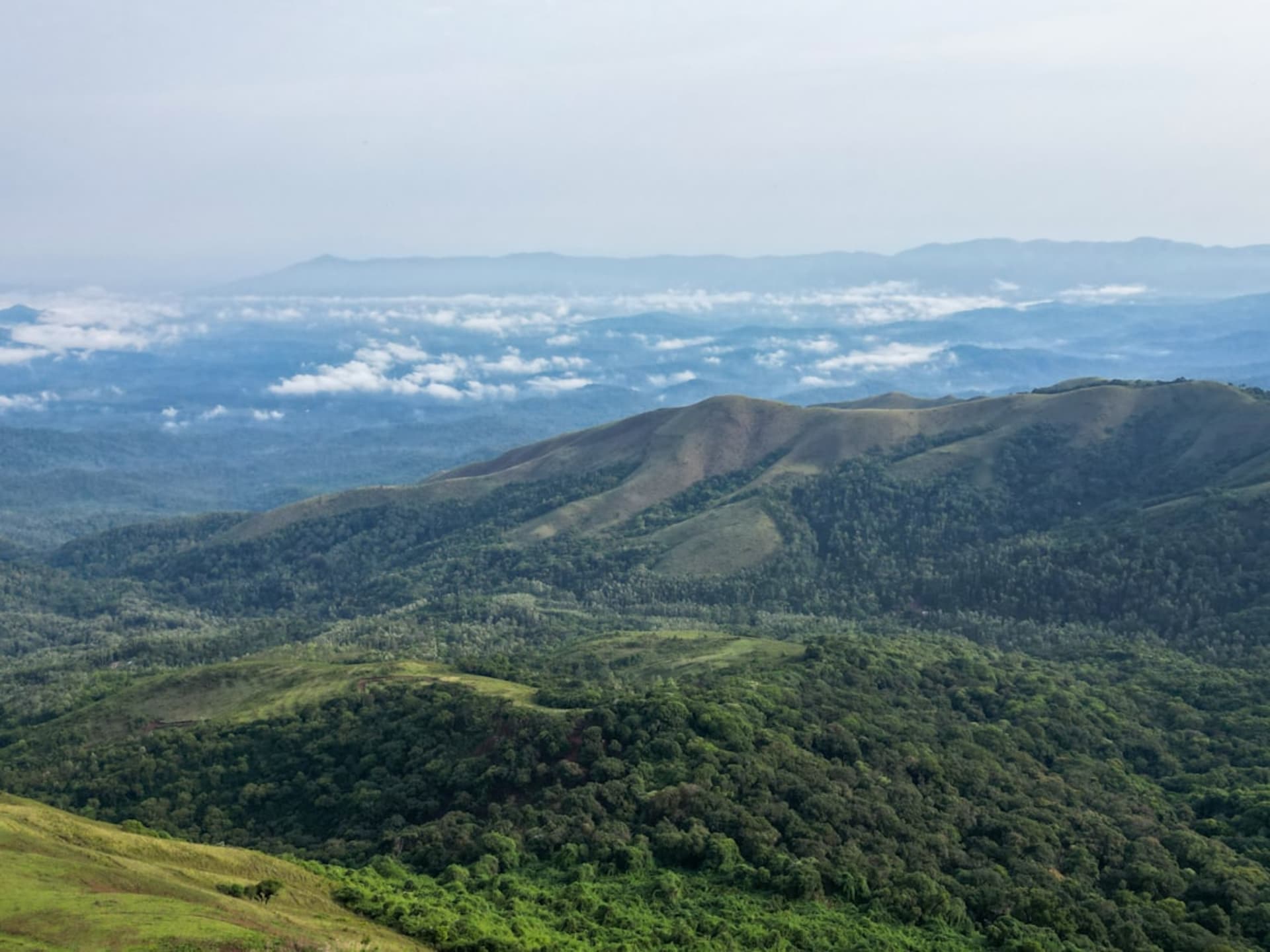 Dense green Western Ghats forest and spice plantation terrain rising into mist over Wayanad