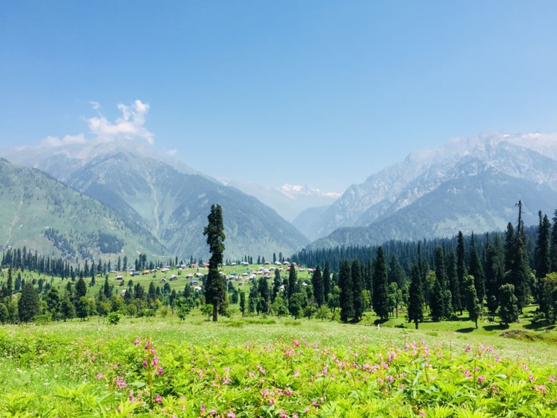 Wide open alpine meadow at Yusmarg framed by dense pine forest