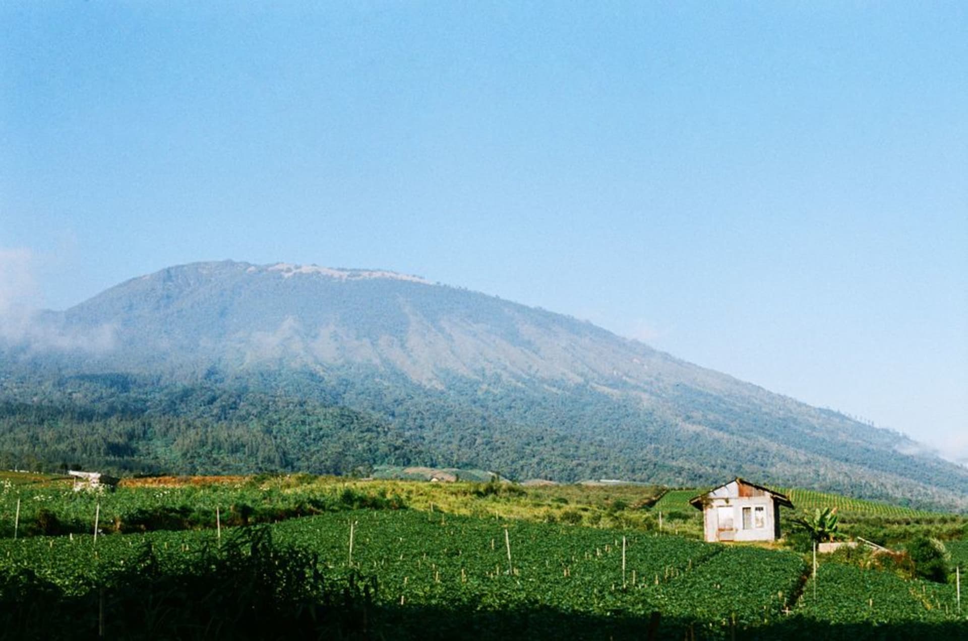 Apple orchards and misty volcanic hills surrounding Batu, East Java