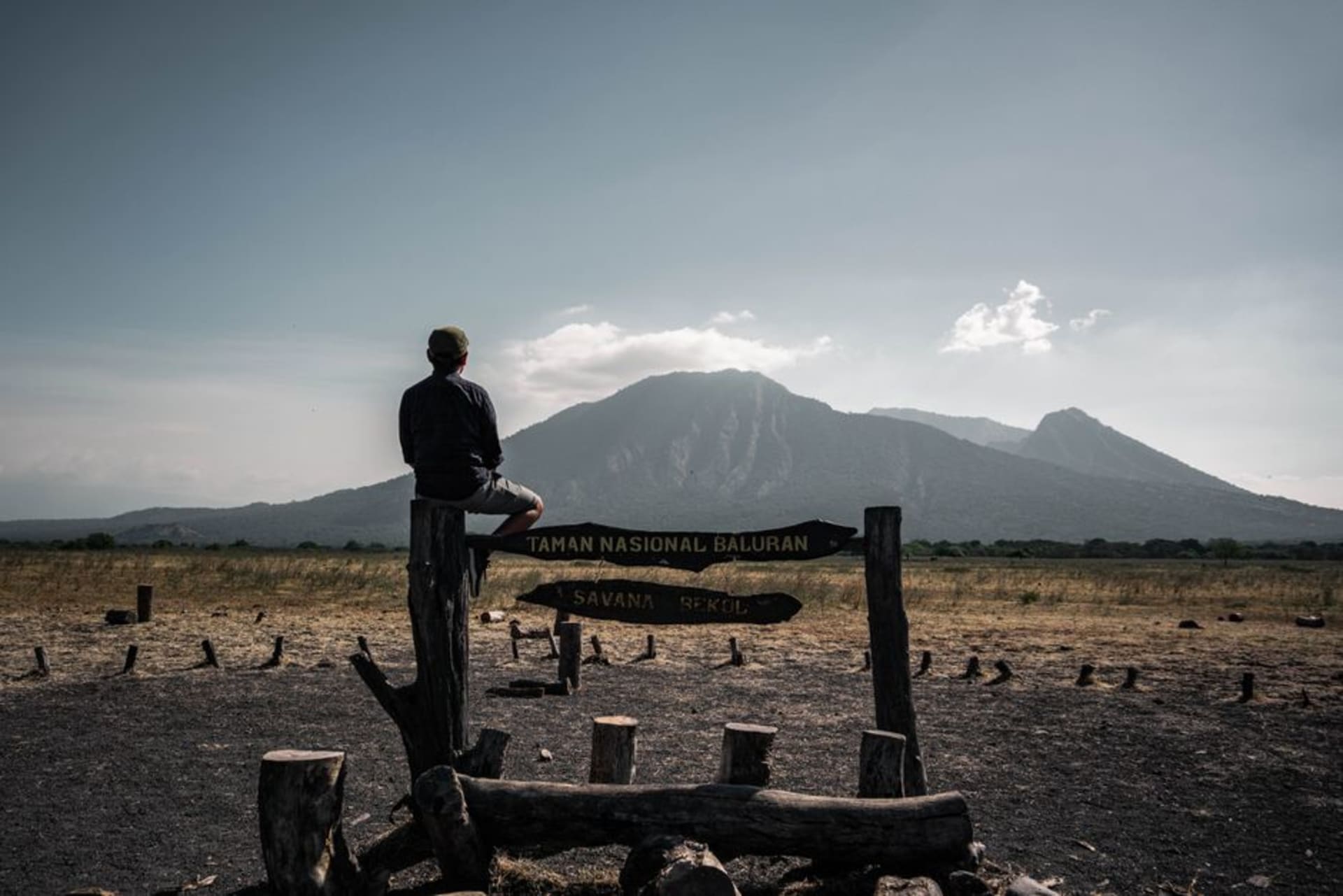 Golden savanna grassland with Baluran volcano in the background