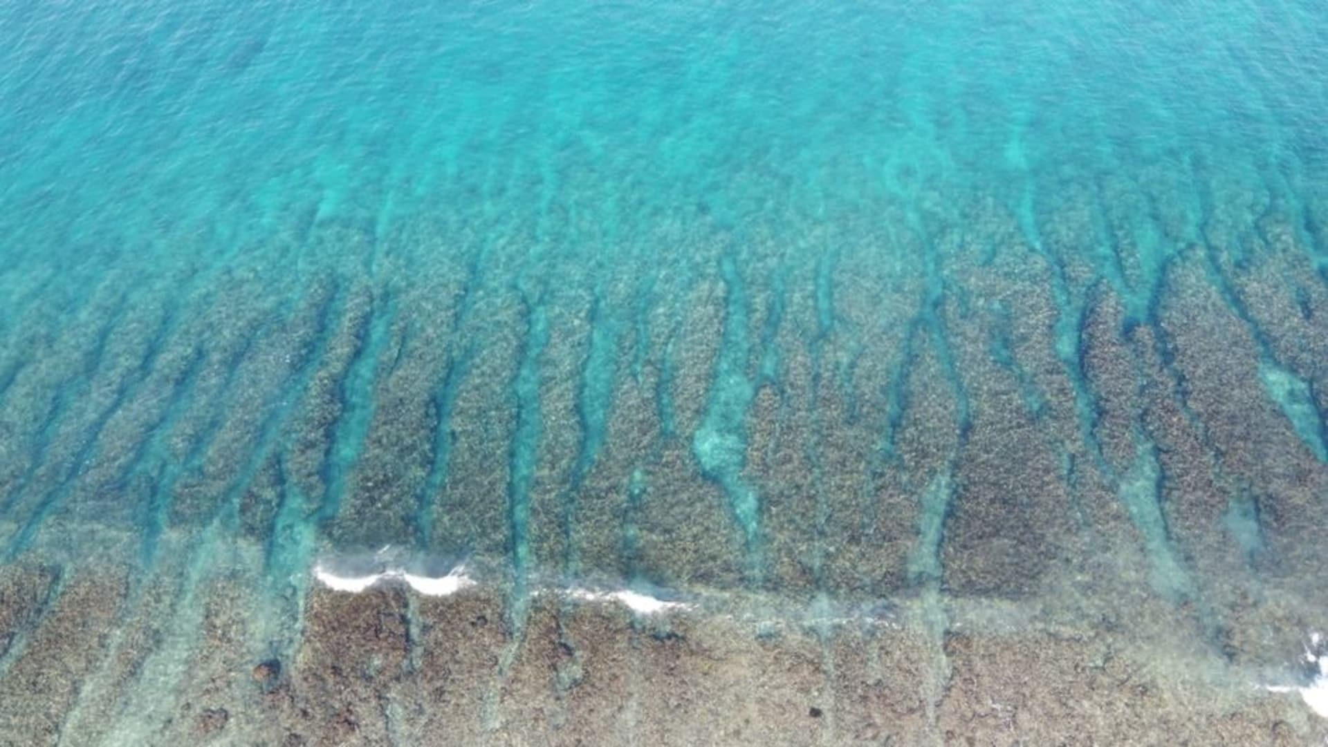 Turquoise waters and coral reef off the coast of Moyo Island