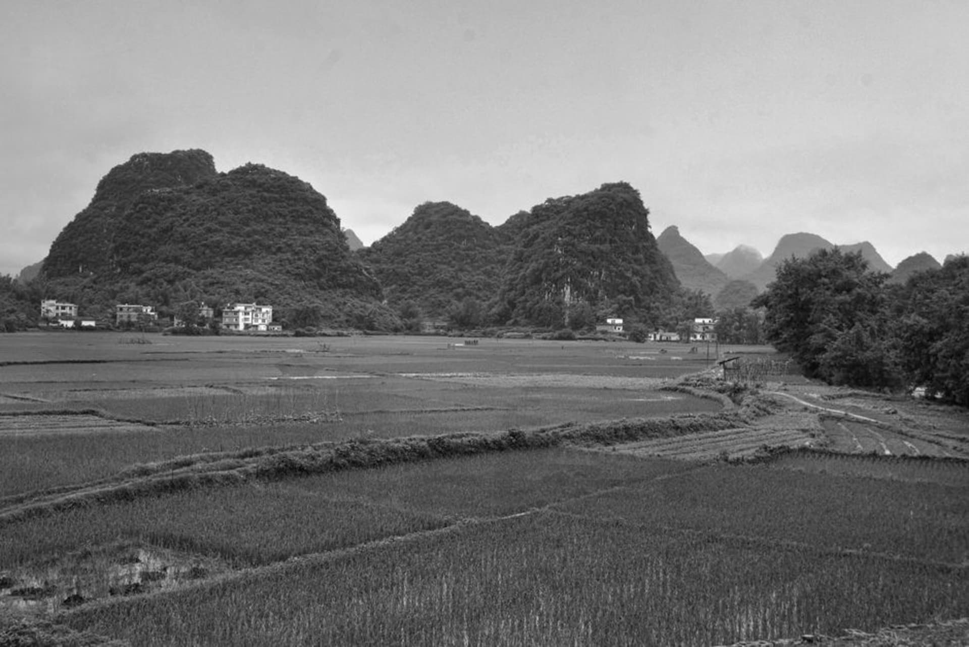Karst limestone towers rising above green rice fields at Rammang-Rammang