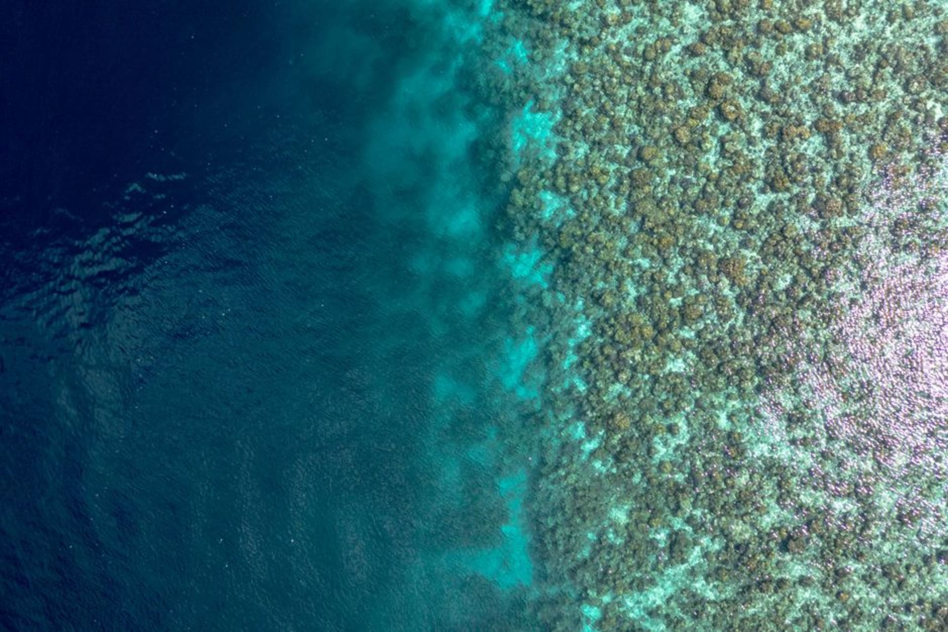 Aerial view of Selayar Island's coastline with reef patterns visible in the shallow water