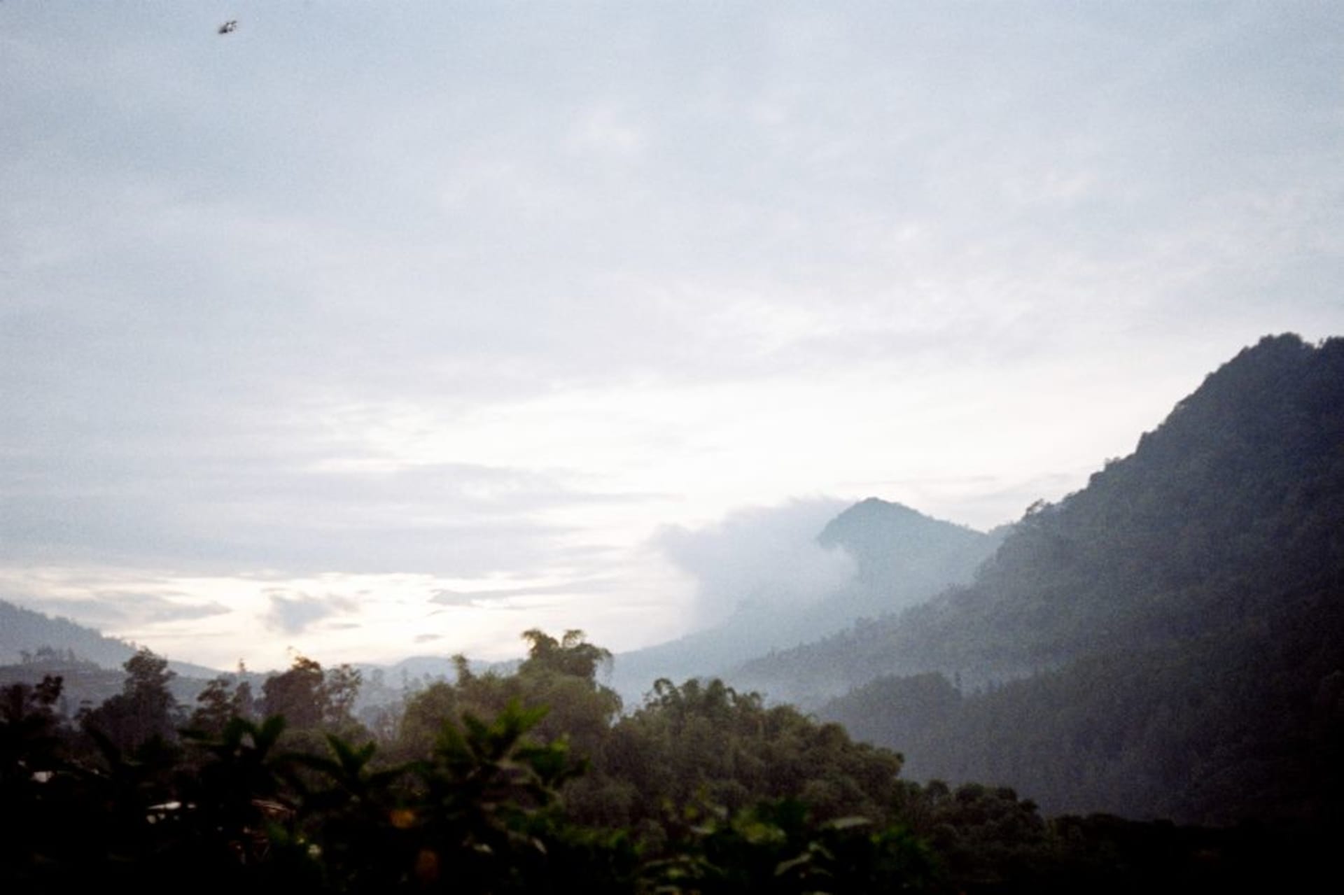 Misty pine hills and tea-country roads above Lembang in the West Java highlands