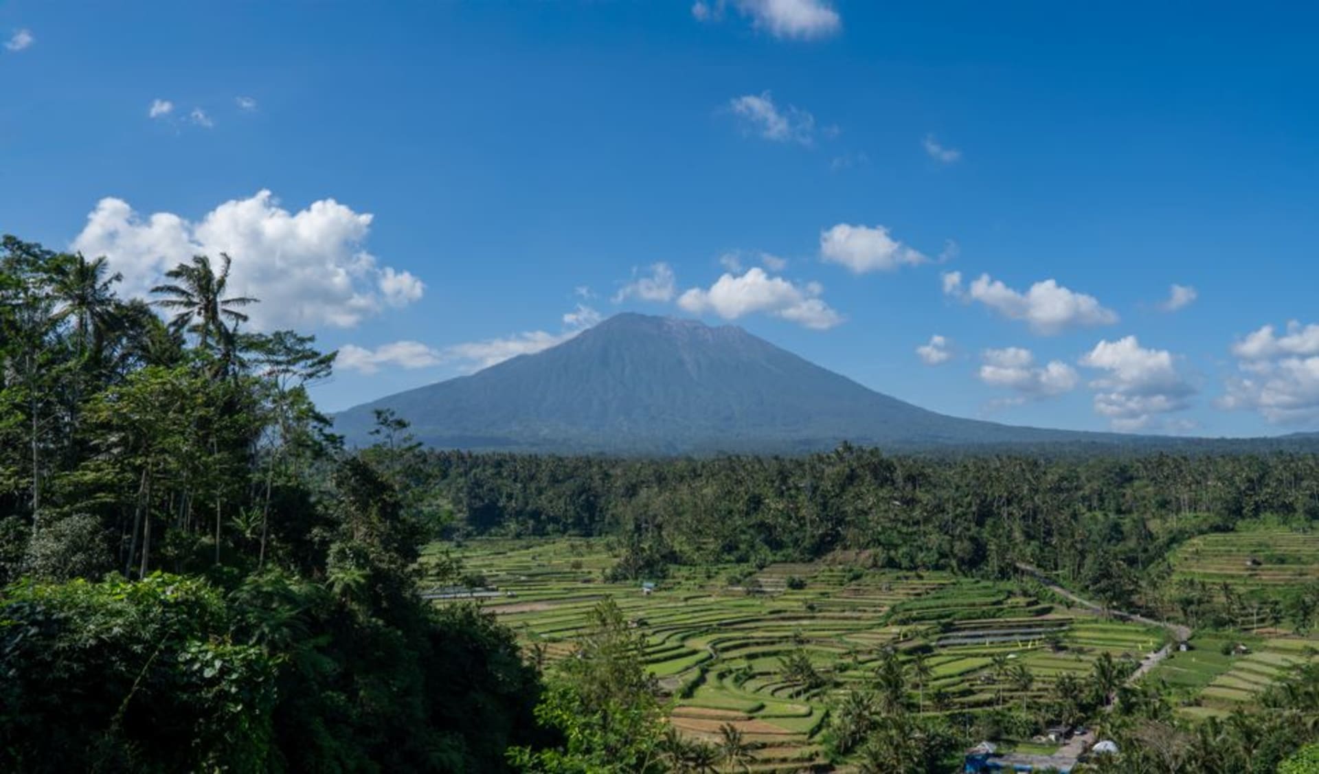 Emerald rice terraces in the Sidemen valley with Gunung Agung volcano rising in the background