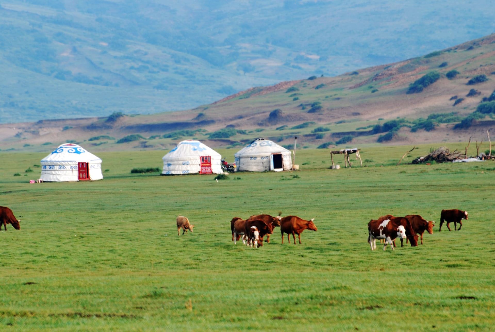 Endless green Hulunbuir steppe at golden hour with a lone rider on horseback and white yurts in the far distance, Inner Mongolia