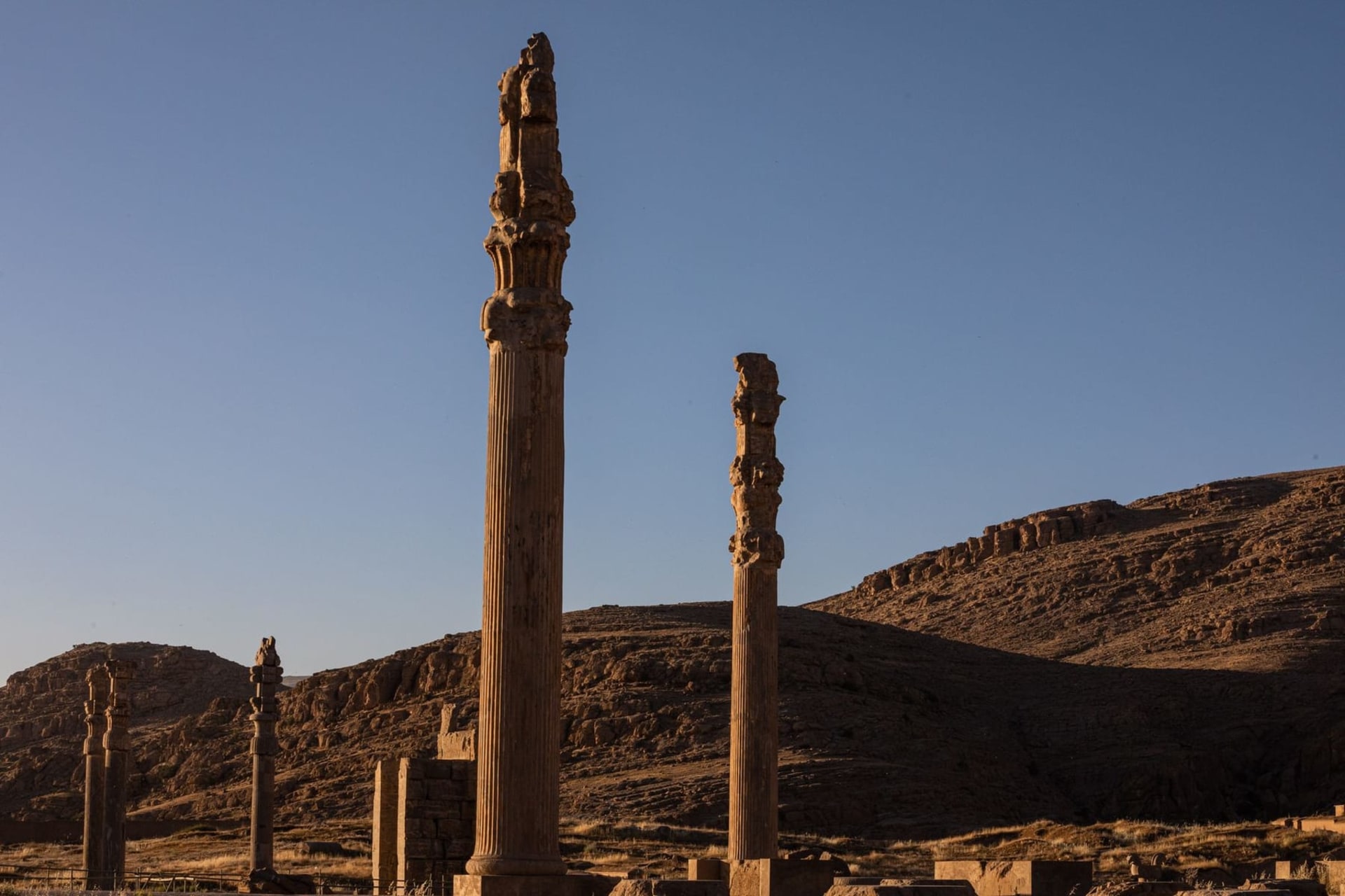 Towering stone columns of Persepolis rising against a pale Persian sky, with bas-relief carvings of tribute-bearers lining the grand staircase of the Apadana