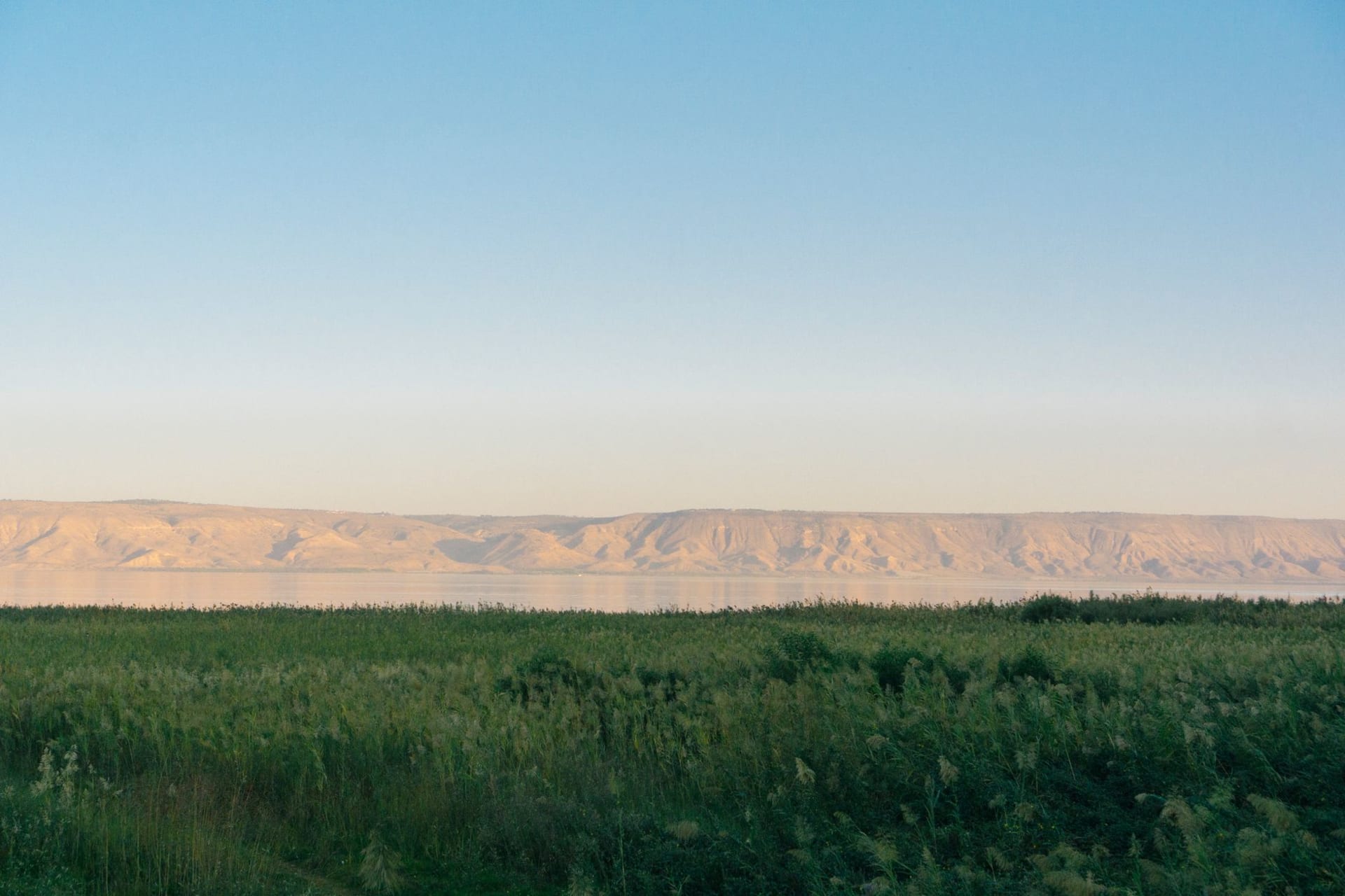 Rolling green vineyards in the Golan Heights with Mount Hermon snow-capped in the distance under a wide blue sky