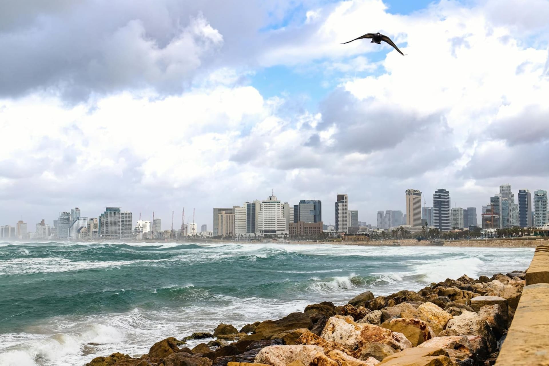 Golden-hour light falling across Tel Aviv's crowded beachfront promenade, with white Bauhaus buildings rising behind the sand and the flat Mediterranean glittering at low tide.