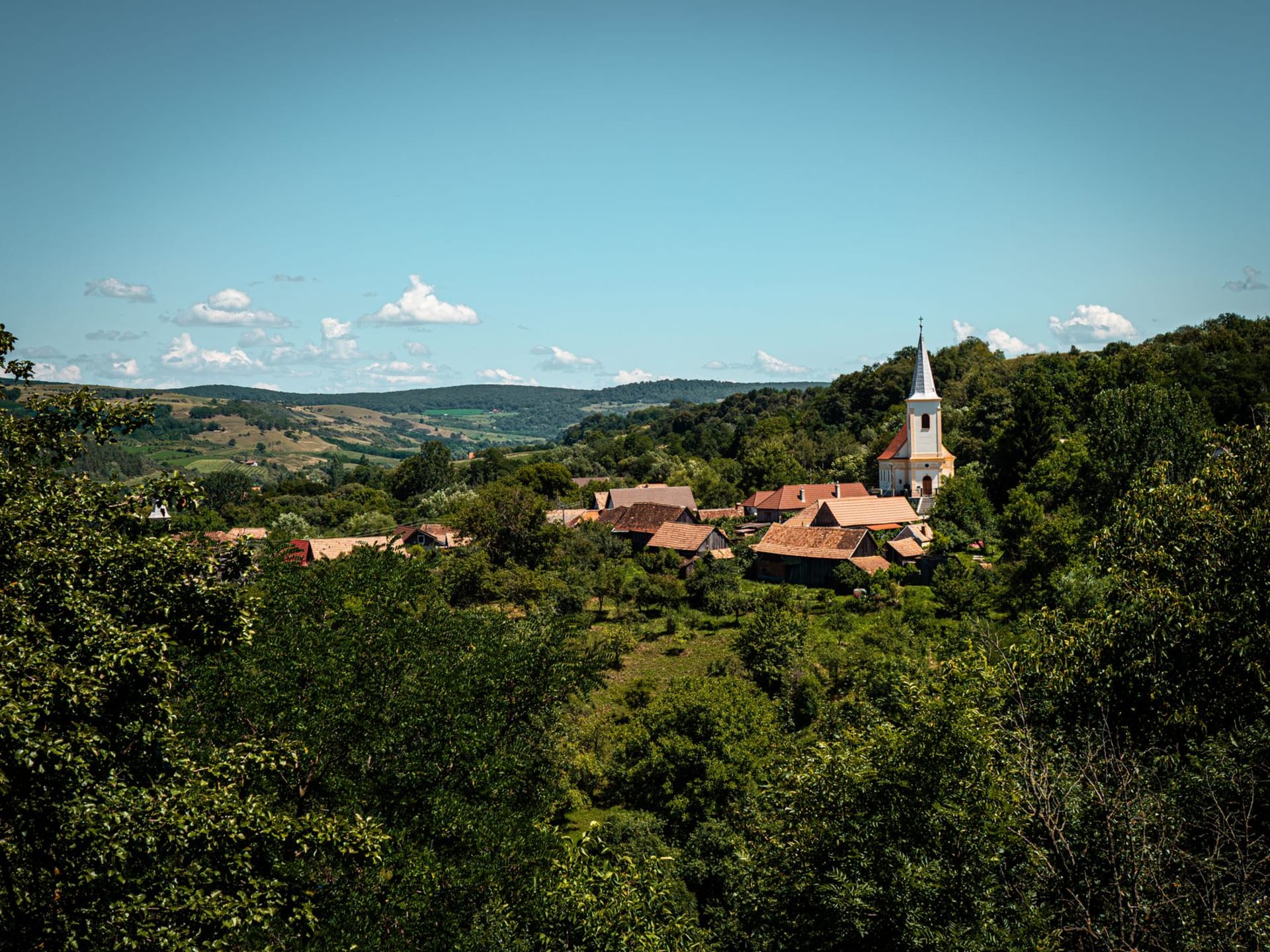 The hilltop old town of Buzet rising above the Mirna River valley in morning light, surrounded by forest and vineyards