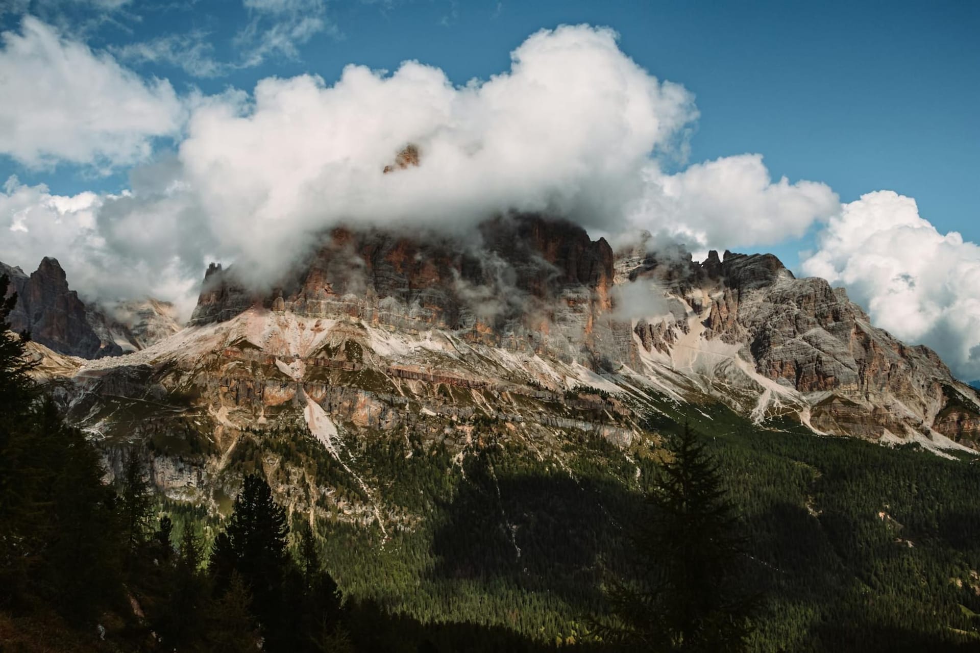 Dramatic vertical rock towers of the Tre Cime di Lavaredo rising above a pine-forested valley under a deep blue sky with alpenglow turning the peaks rose-gold