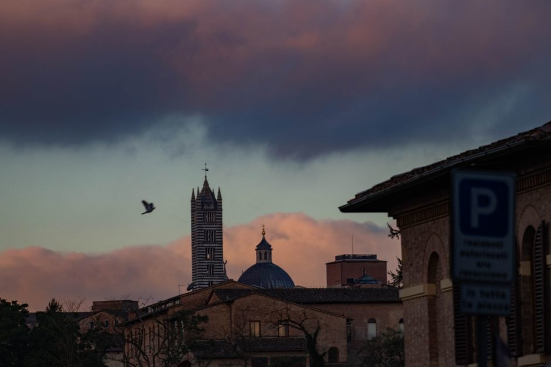 Modena's Ghirlandina bell tower rising beside the Romanesque Duomo at dusk
