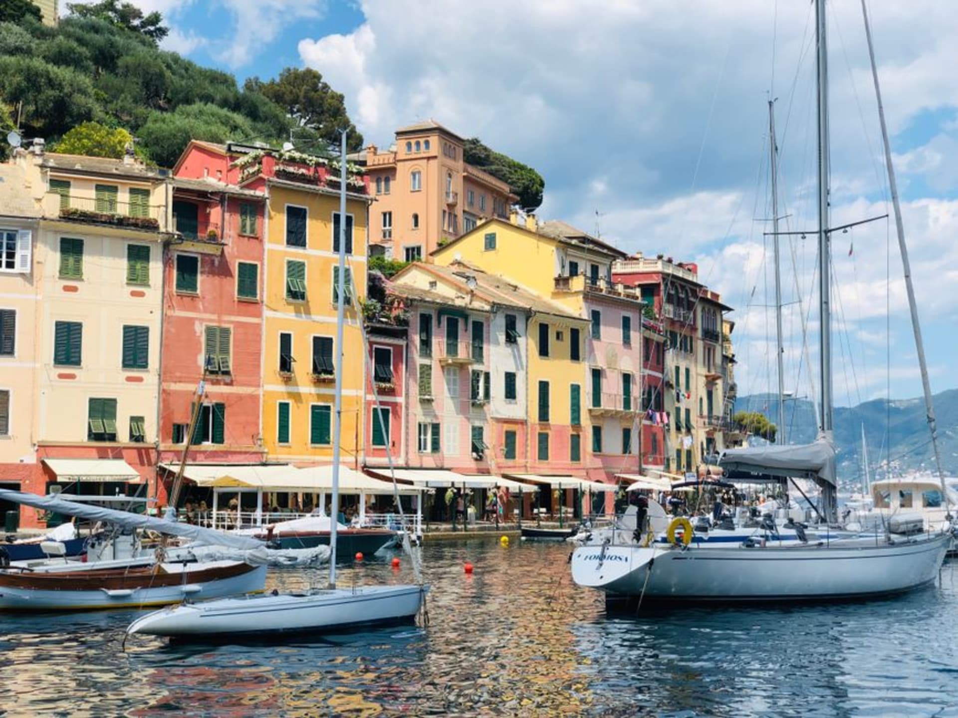Pastel-colored houses lining the small harbor of Portofino with yachts moored in the marina