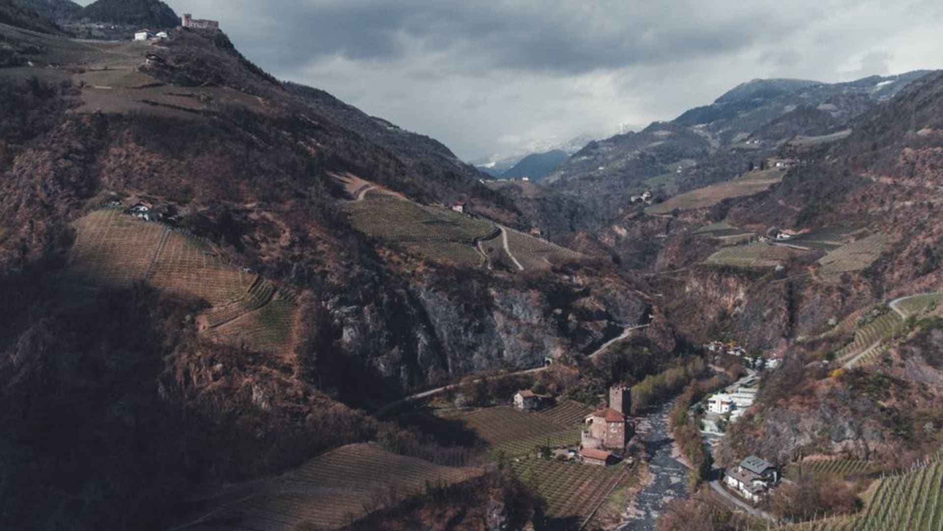 Terraced vineyards climbing the steep mountainside above Sondrio in the Valtellina