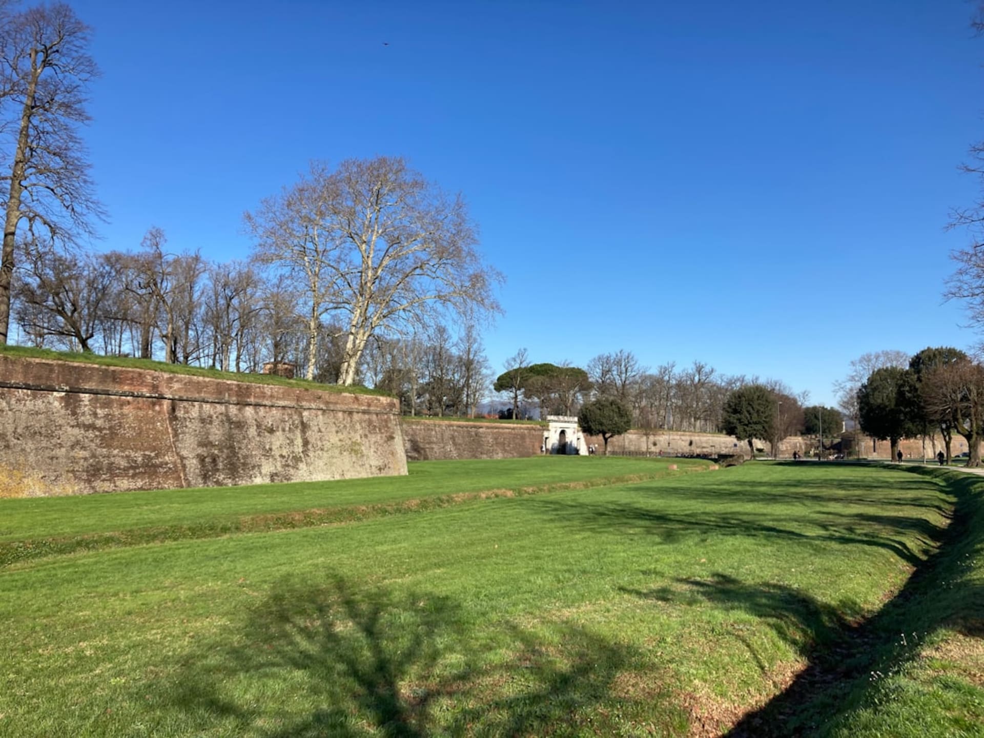 Lucca's Renaissance city walls topped with a tree-lined promenade encircling the old town
