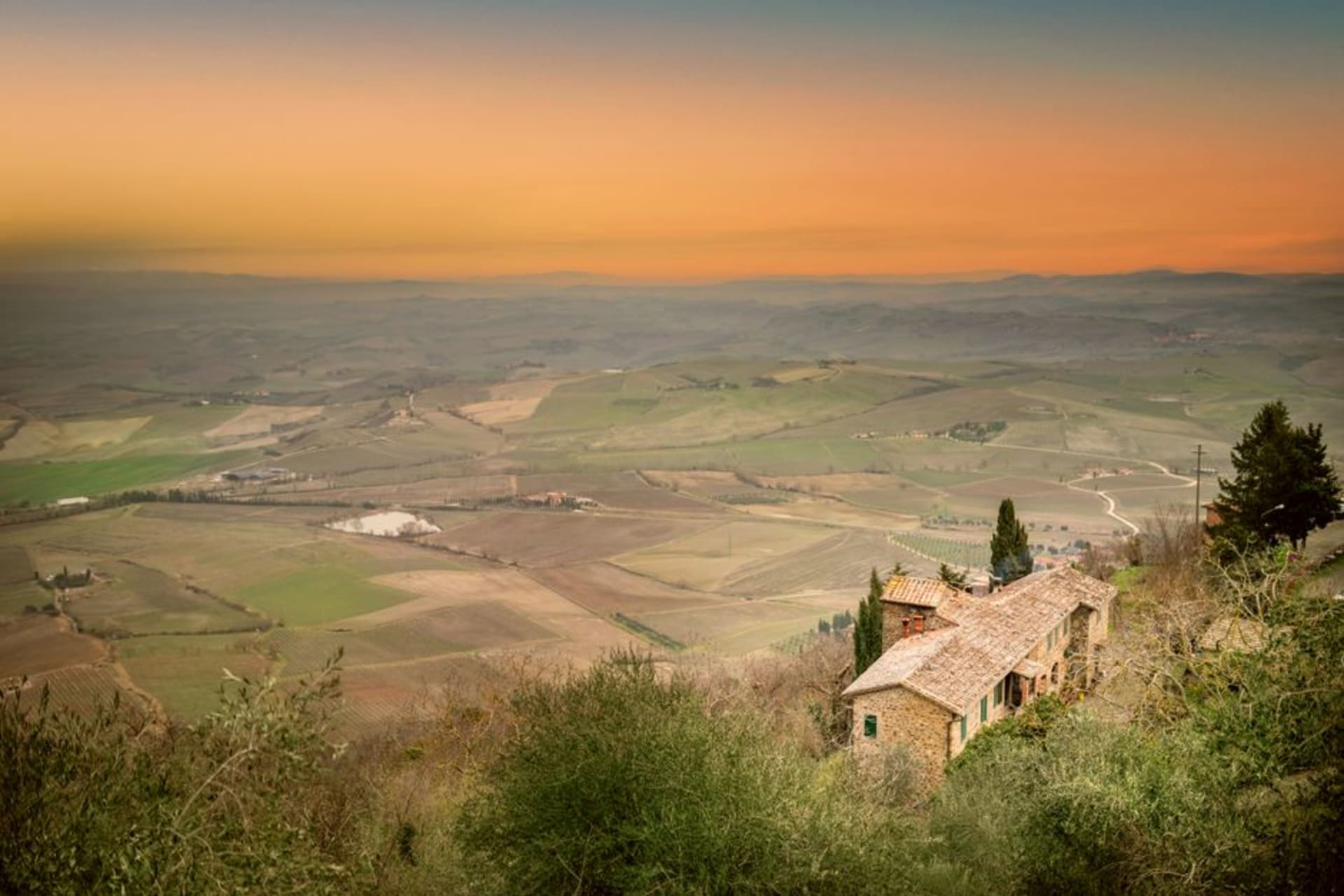 Montalcino's medieval fortress and rooftops above rows of Sangiovese vineyards in the Tuscan countryside
