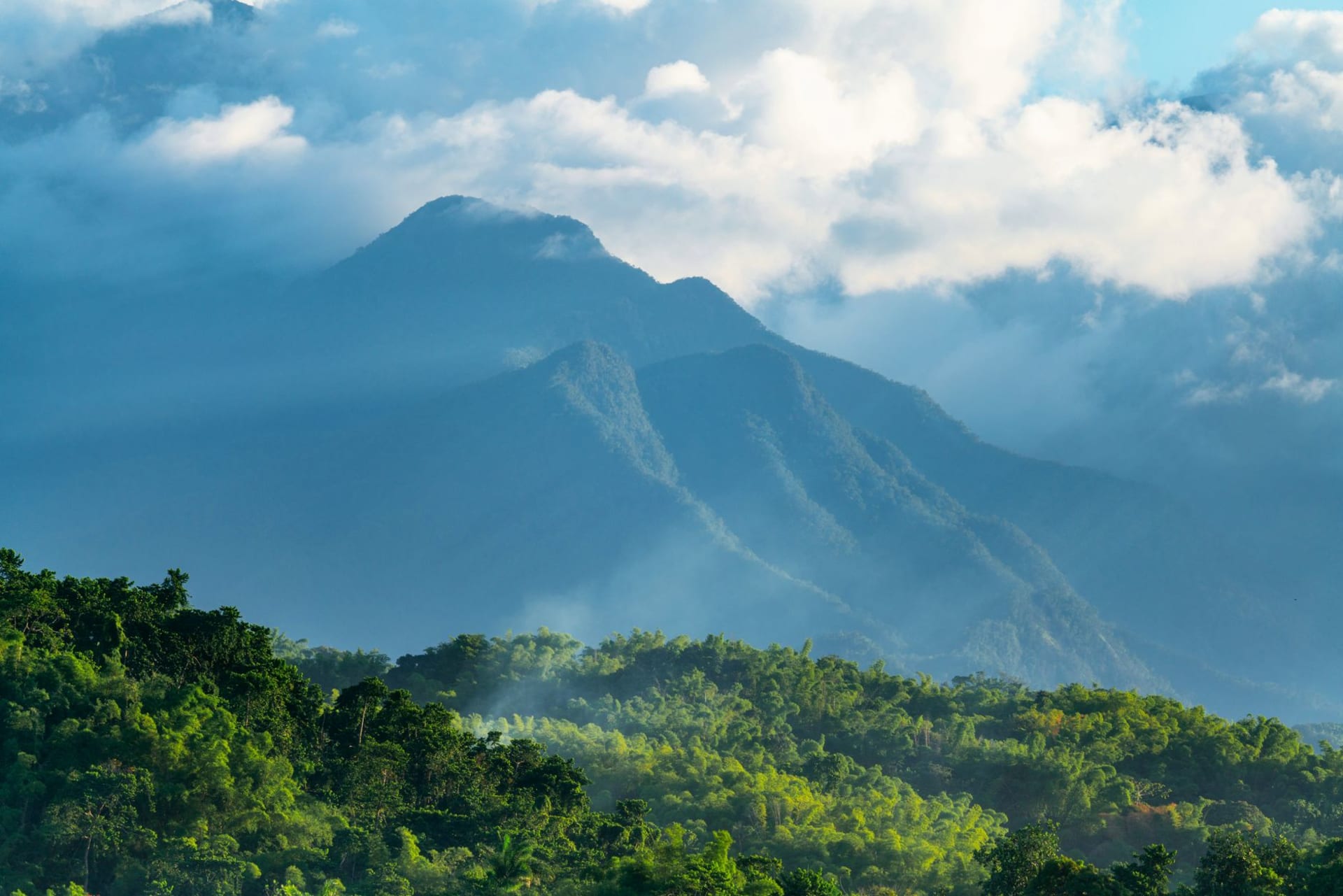 The Blue Mountains of Jamaica rising into low cloud cover, dense green forest slopes bathed in diffuse morning light