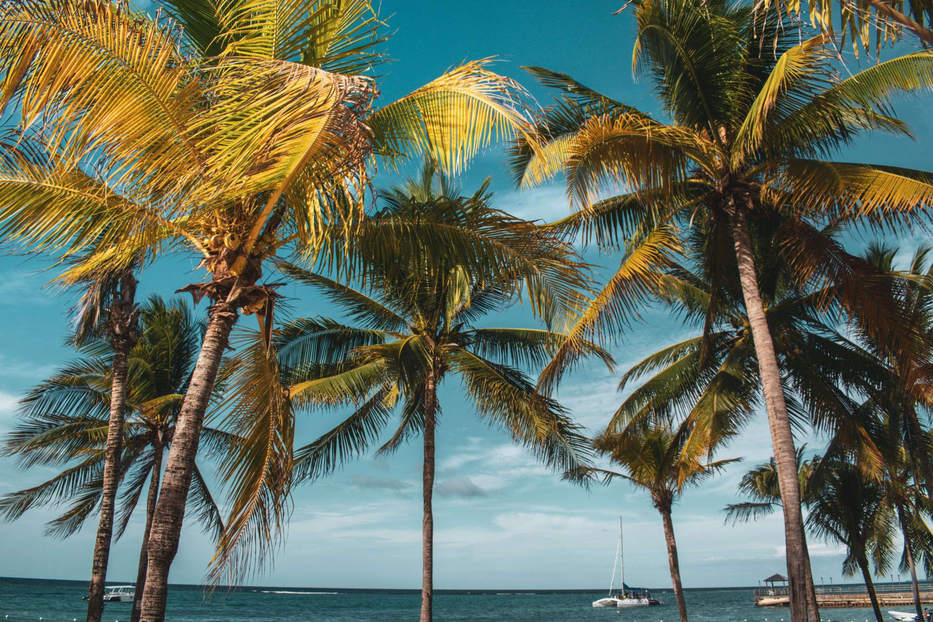 Montego Bay's Doctor's Cave Beach with turquoise water and the town rising on the hills behind, afternoon light on the rooftops