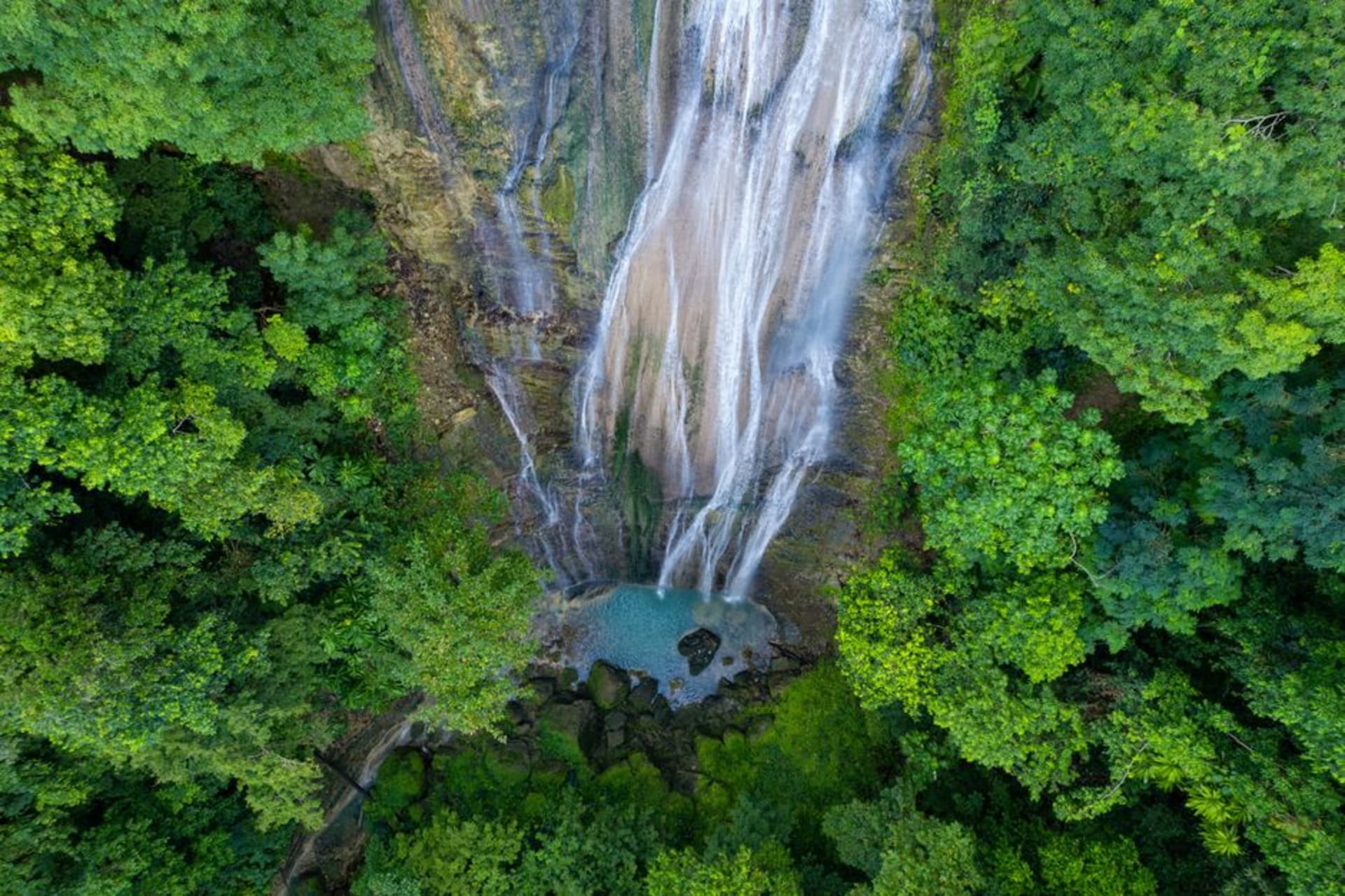 Bamboo raft gliding down the Rio Grande river surrounded by rainforest in Portland, Jamaica