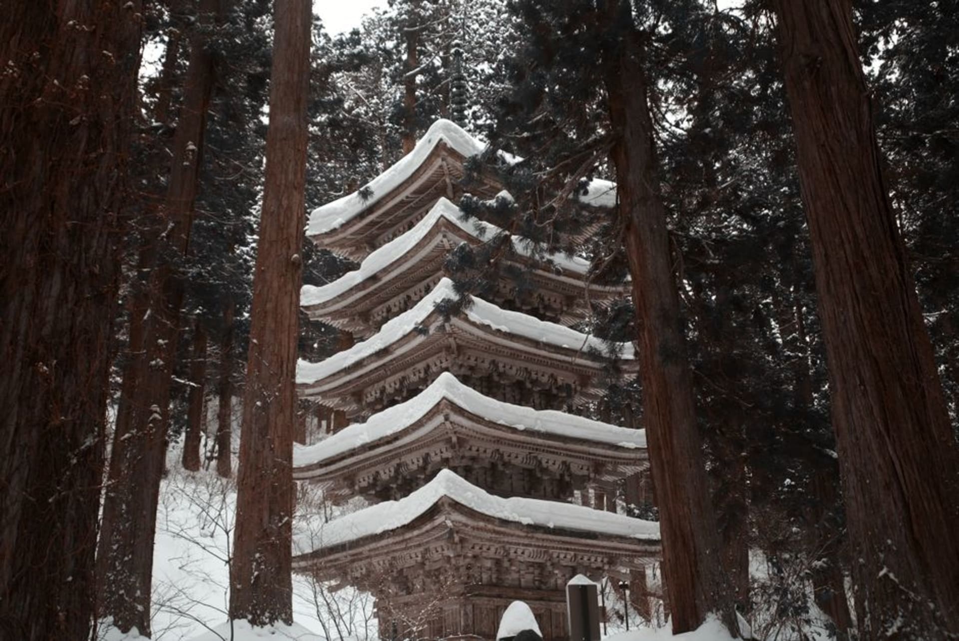 The weathered five-story pagoda of Mount Haguro standing among towering ancient cedars, soft forest light falling through the canopy