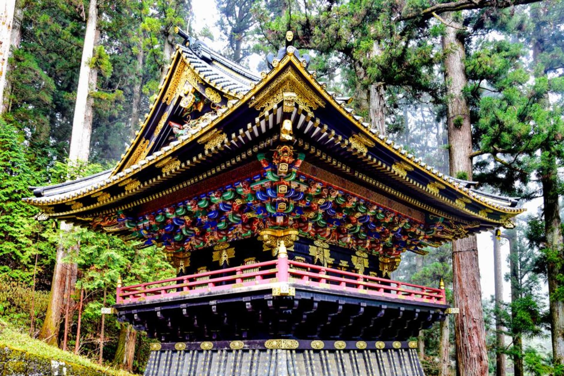 The wooden halls of Eiheiji temple climbing a hillside among towering ancient cedars, moss and covered stairways linking the buildings