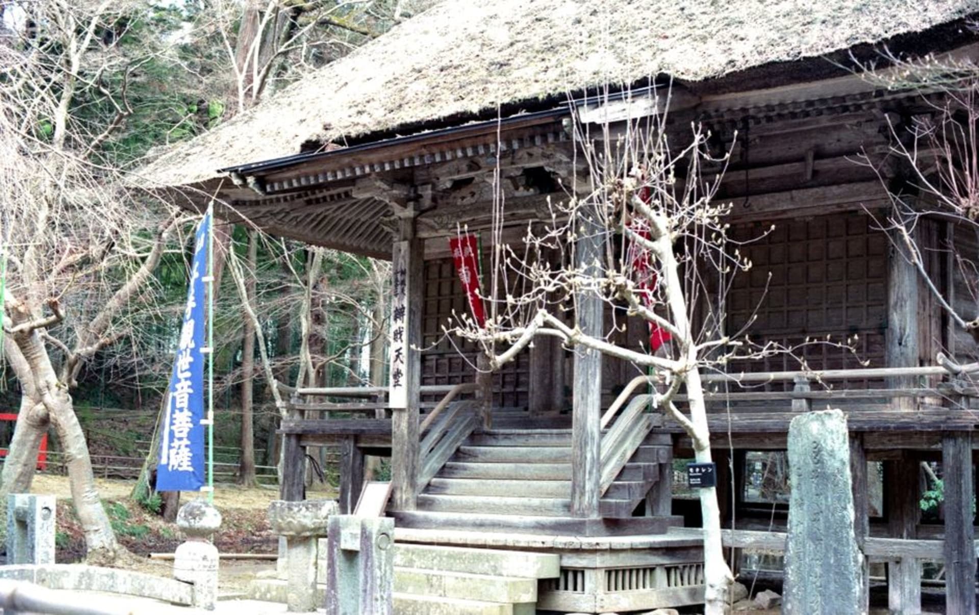 The protective hall of Chūson-ji temple among tall cedars, housing the golden Konjikidō pavilion, dappled autumn light on the path