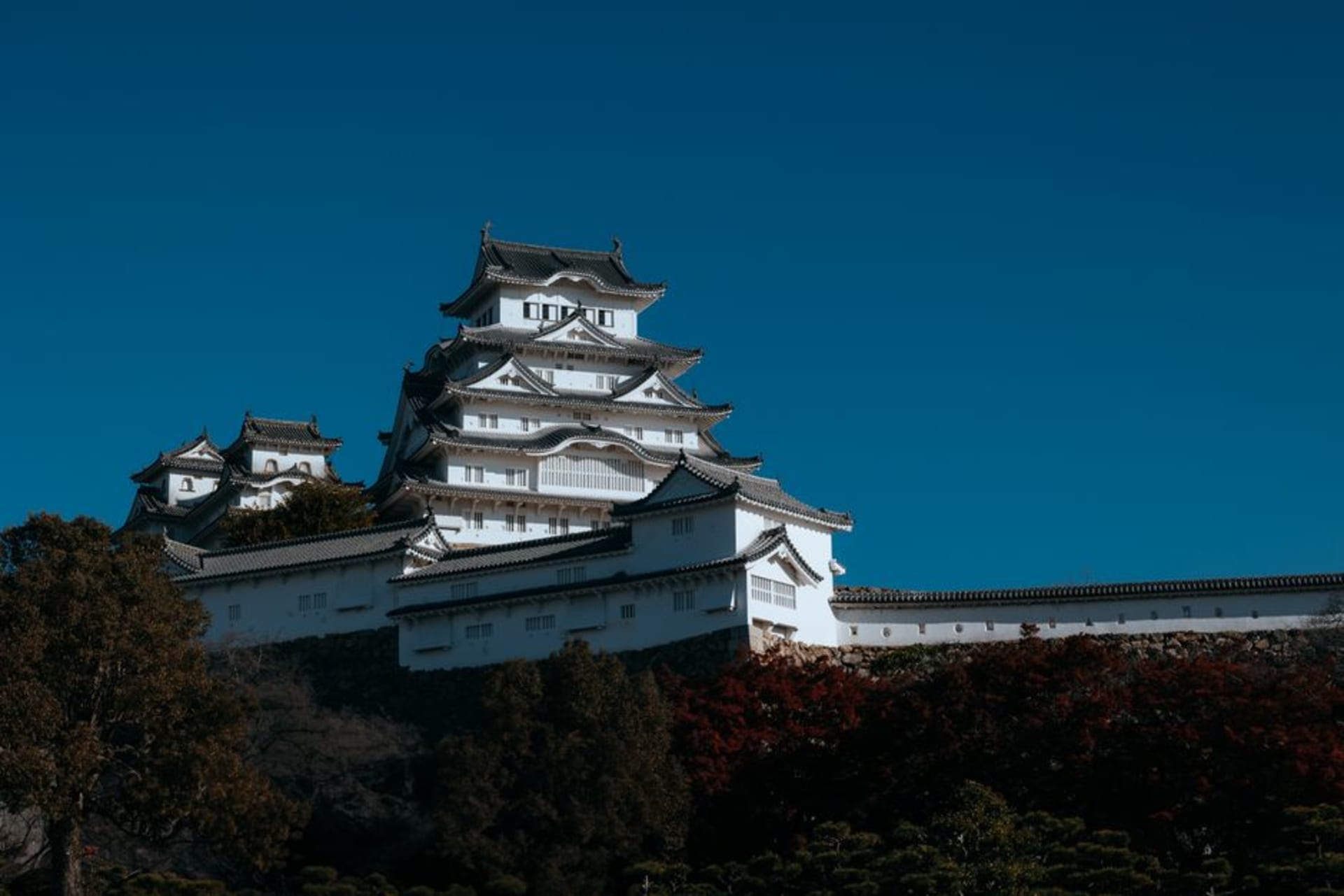 The white keep of Iga-Ueno Castle rising above its high stone walls and pine trees