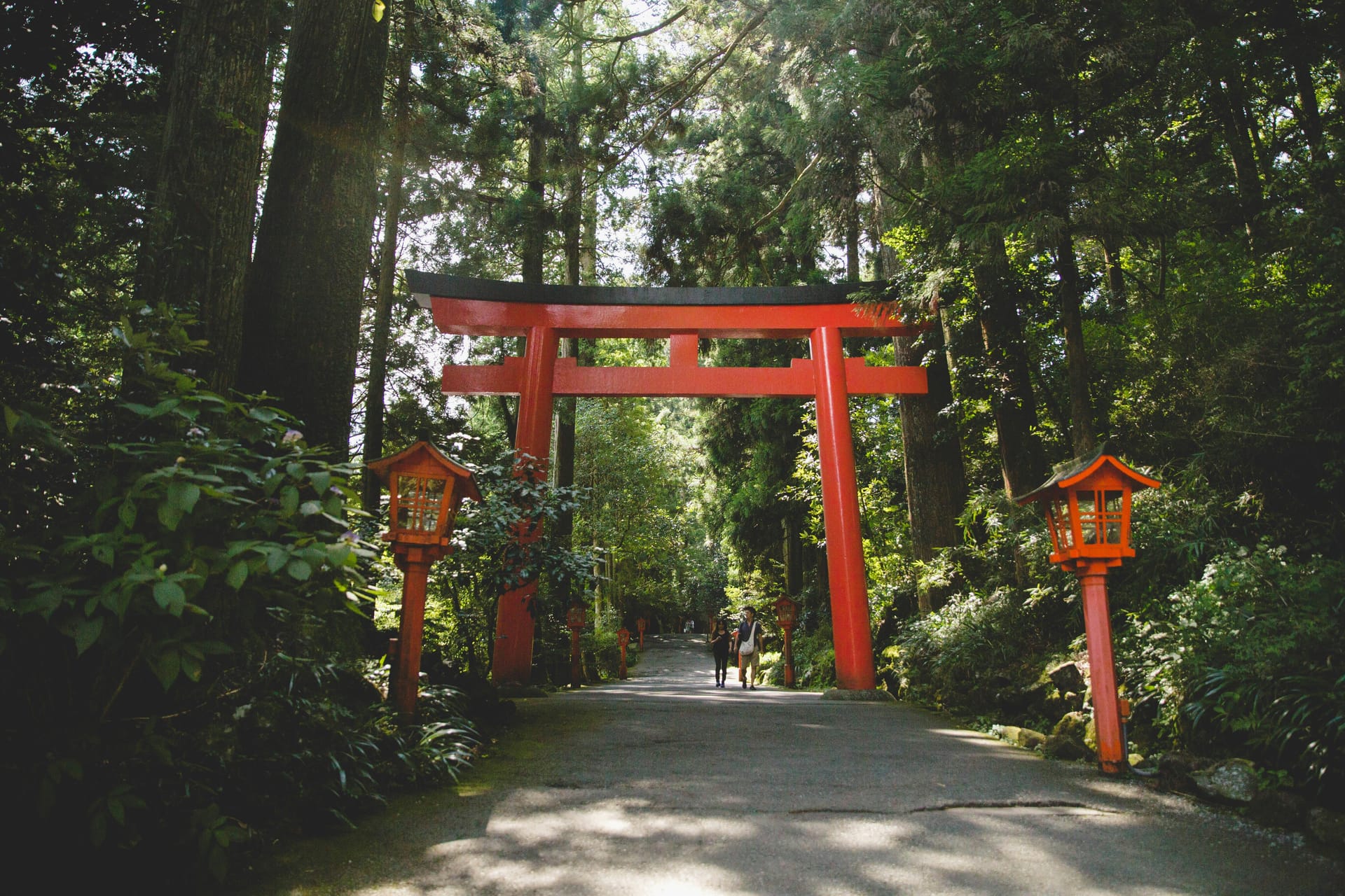 Red torii gate in a lush forest shrine path in Japan